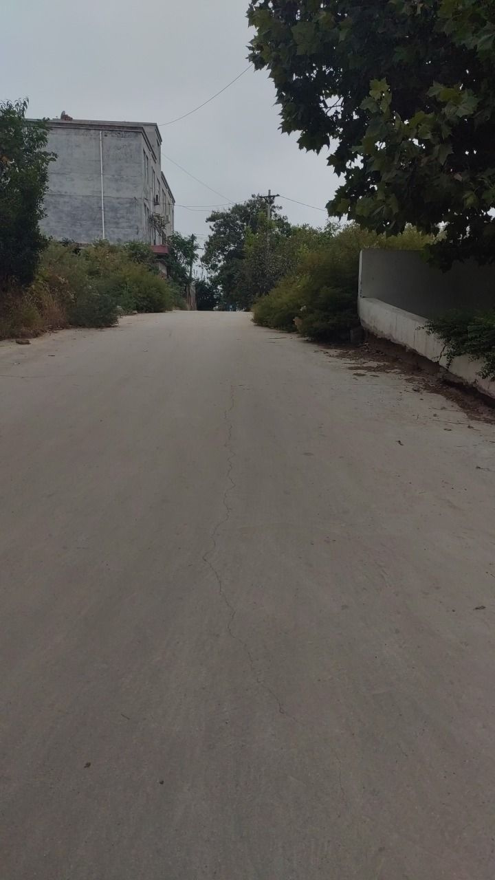 周悼王墓旅行图片 1