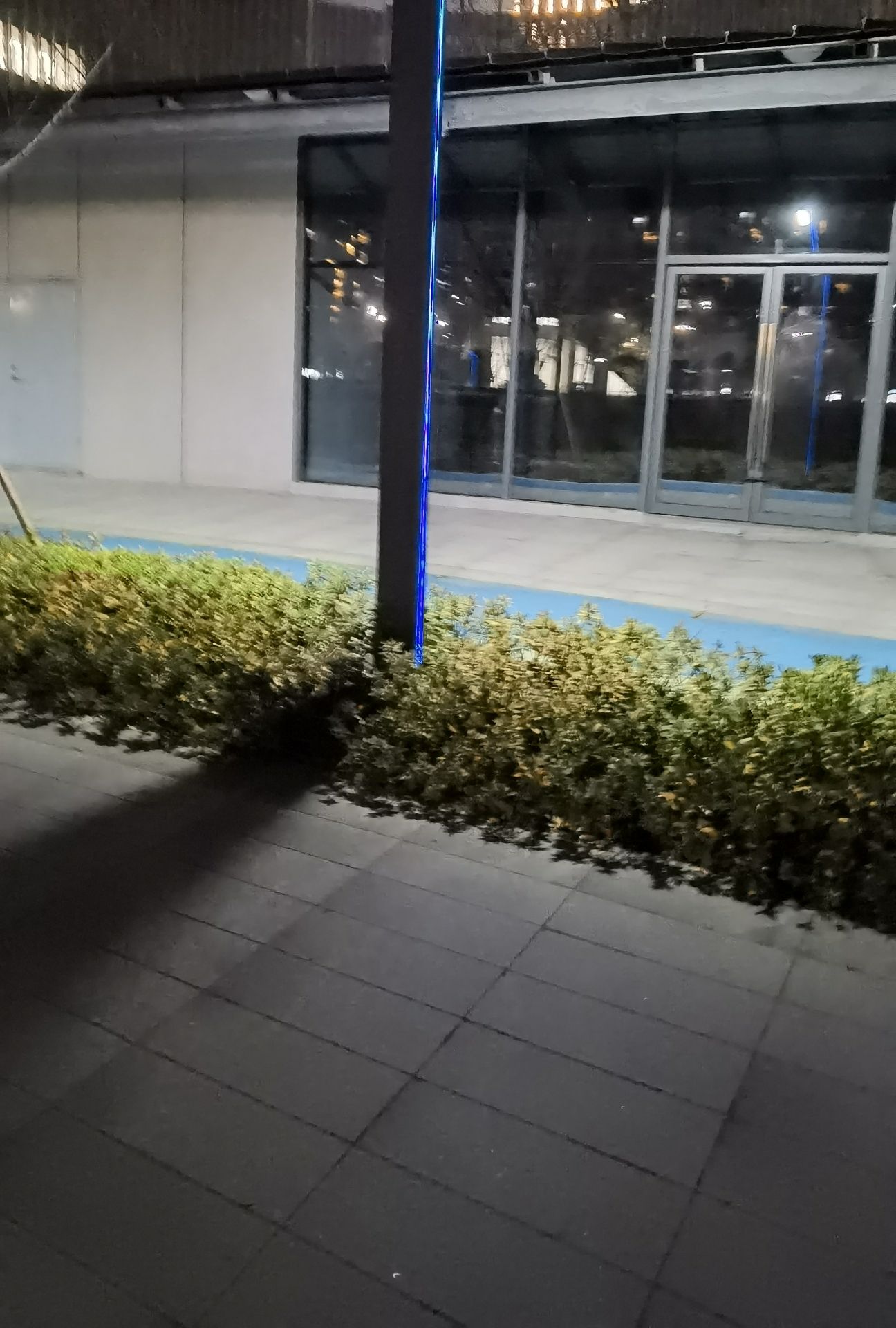 物联网感知之轴公园旅行图片 1