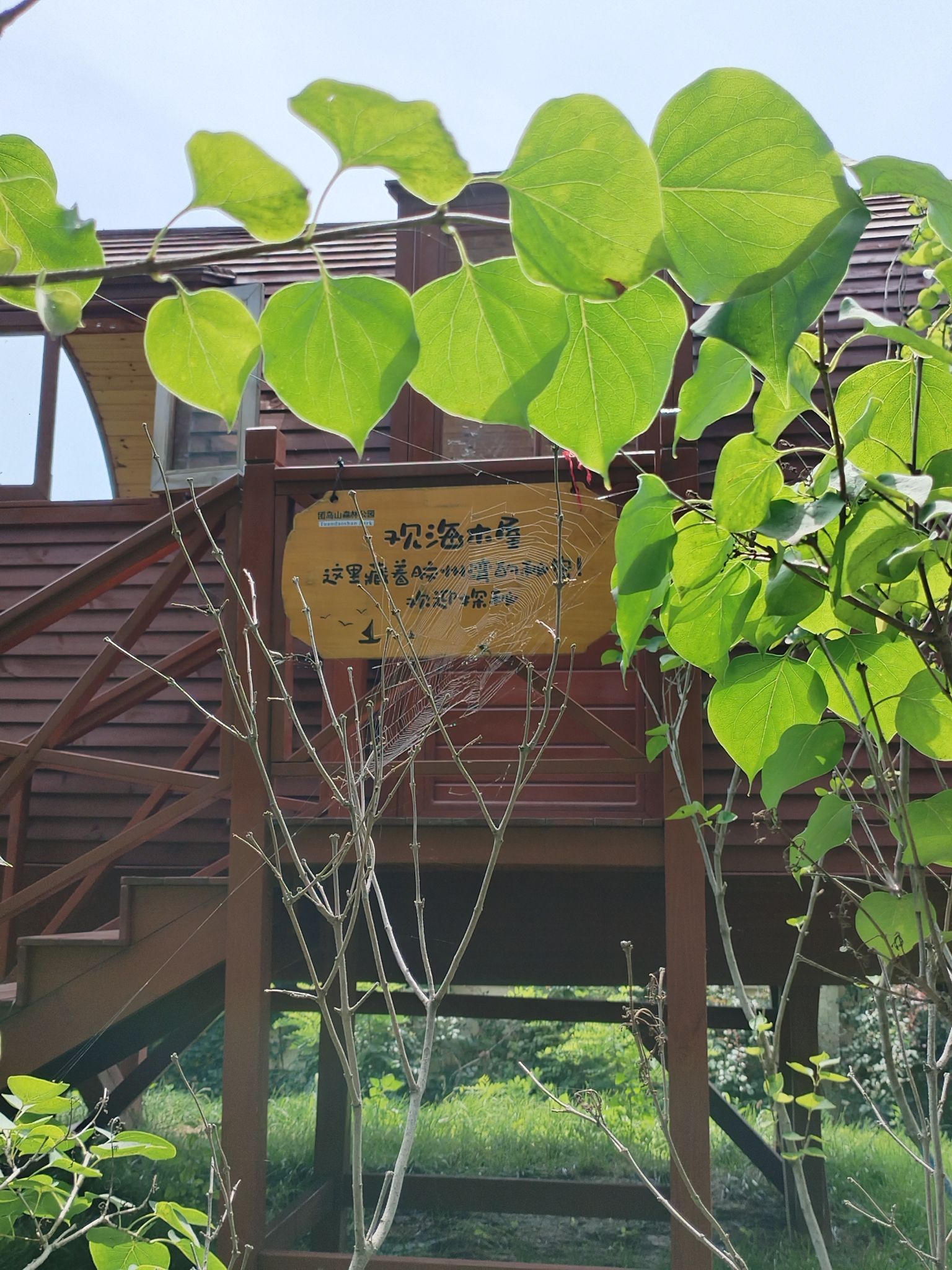 团岛山公园旅行图片 3