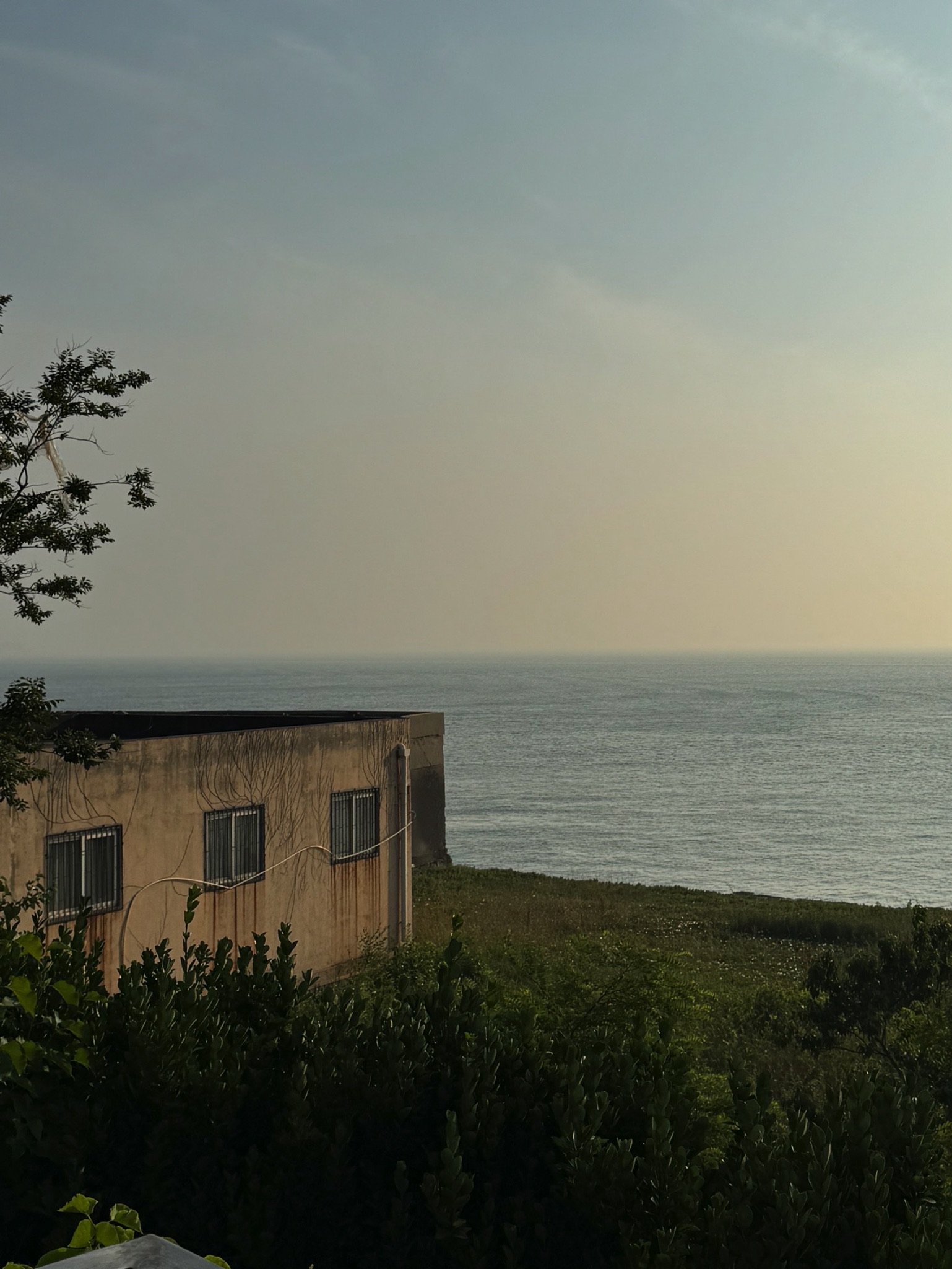 团岛山公园旅行图片 3