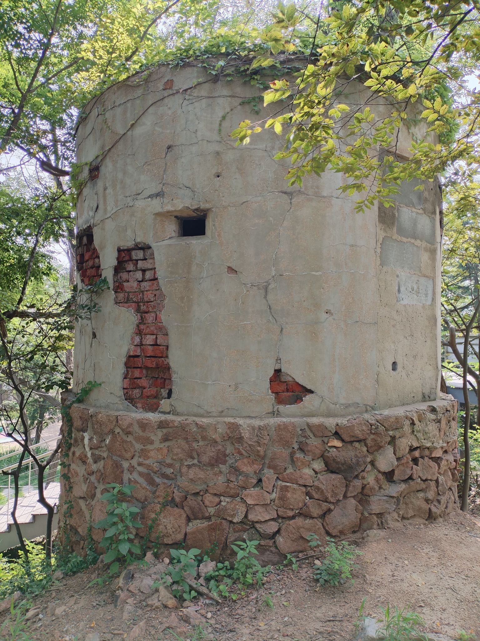 团岛山公园旅行图片 2