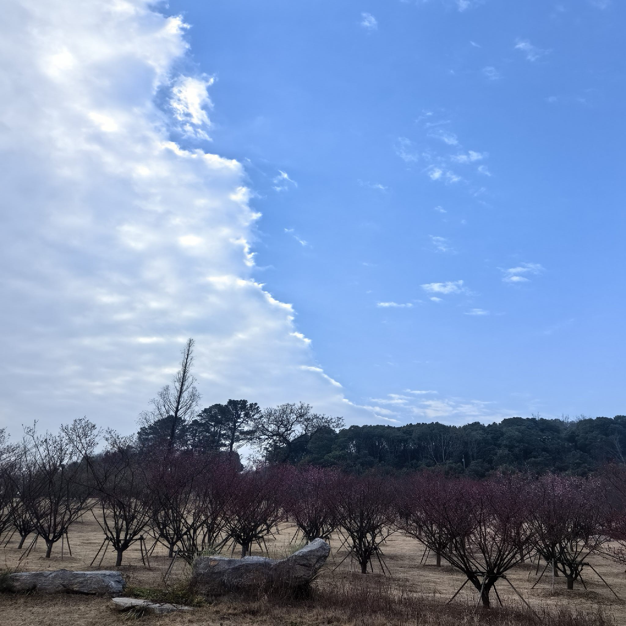 阳湖生态公园南区(建设中)
