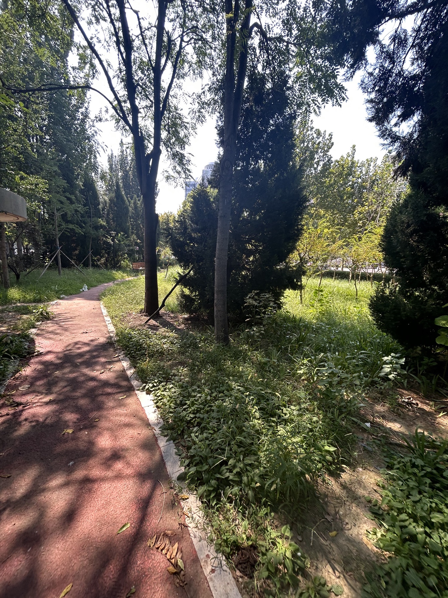 解放广场游园旅行图片 1
