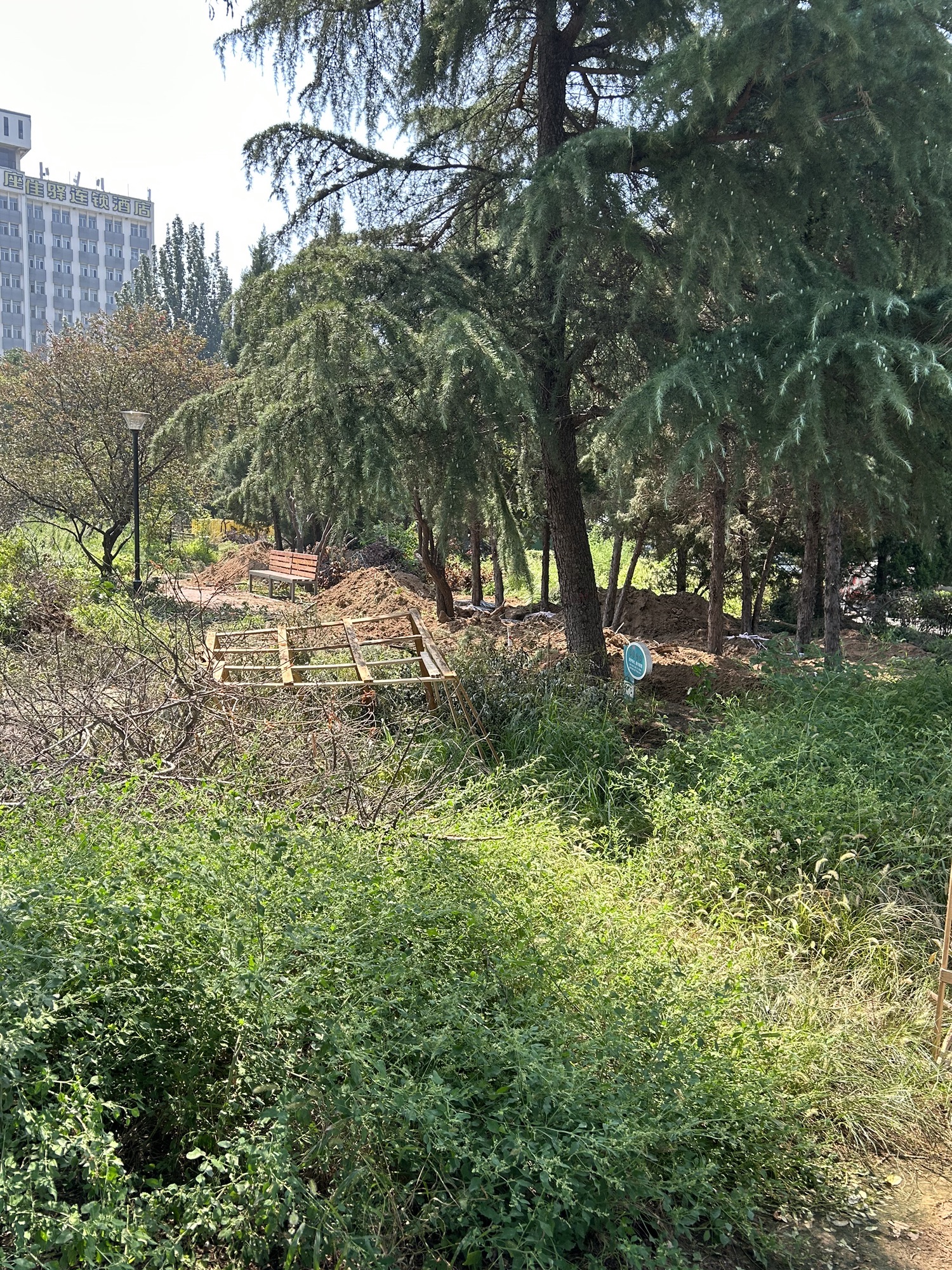 解放广场游园旅行图片 3