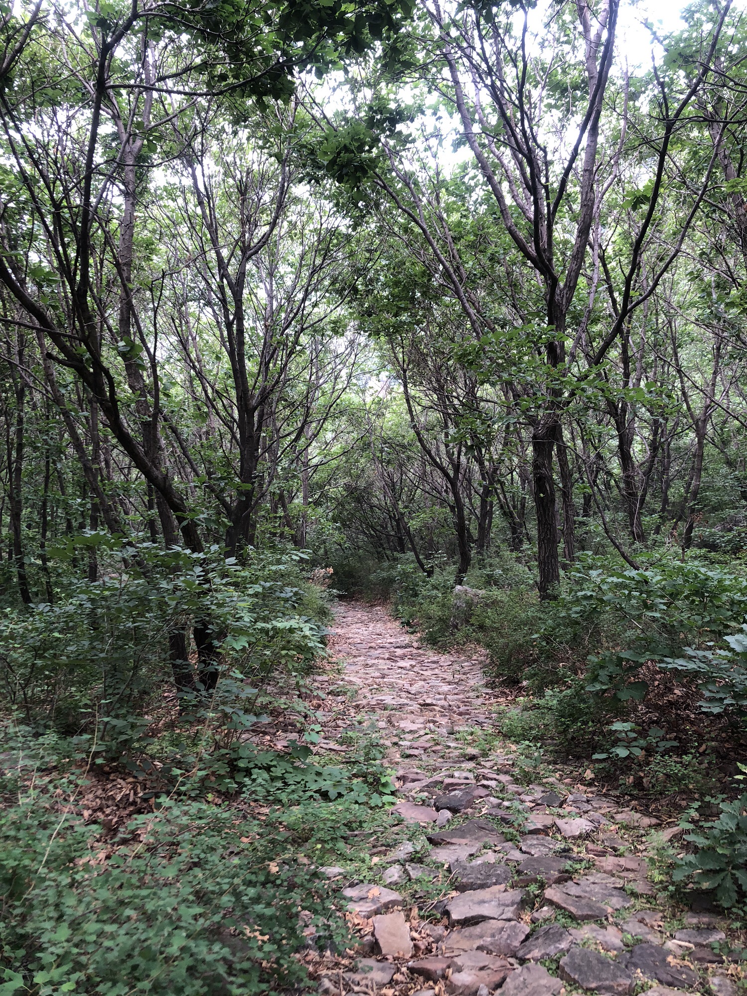 凌源市大河北镇红石山AAA级生态旅游区旅行图片 2