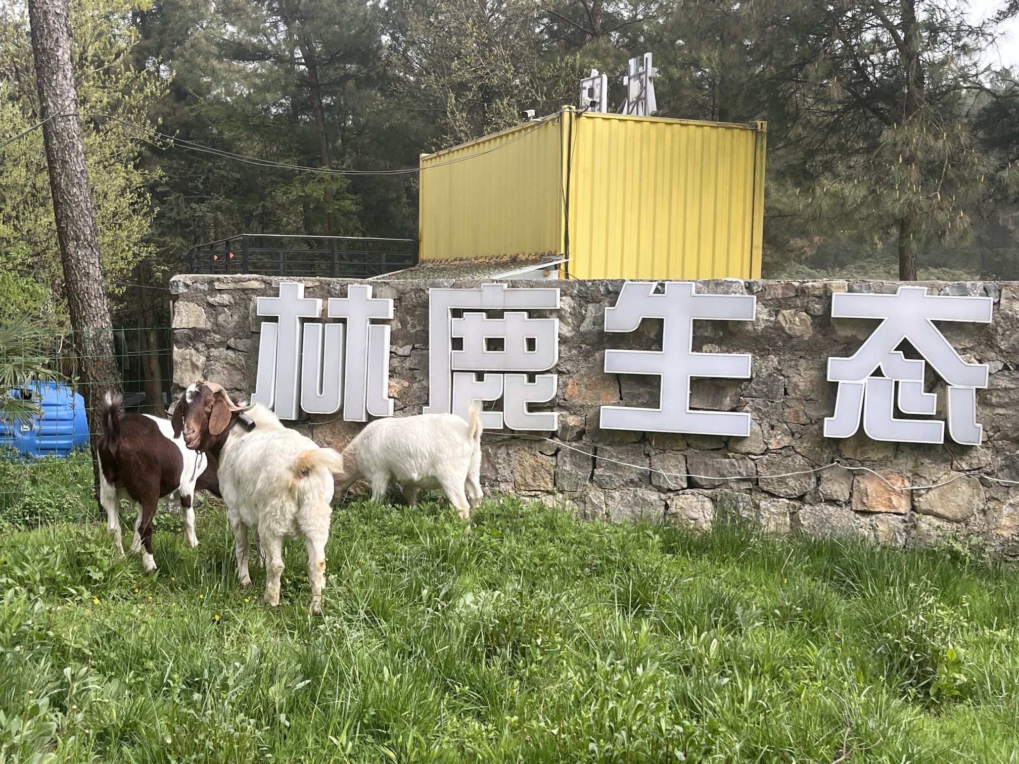 武陵山林鹿生态营地