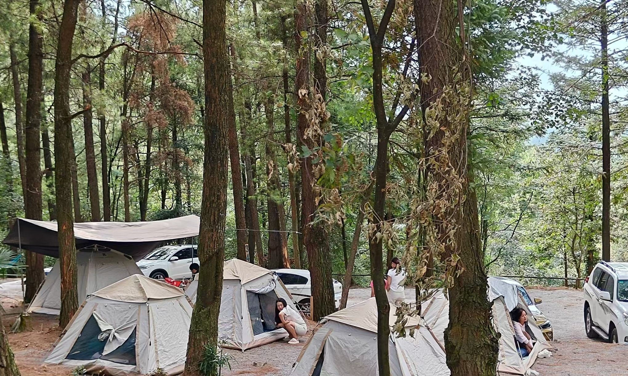 武陵山林鹿生态营地