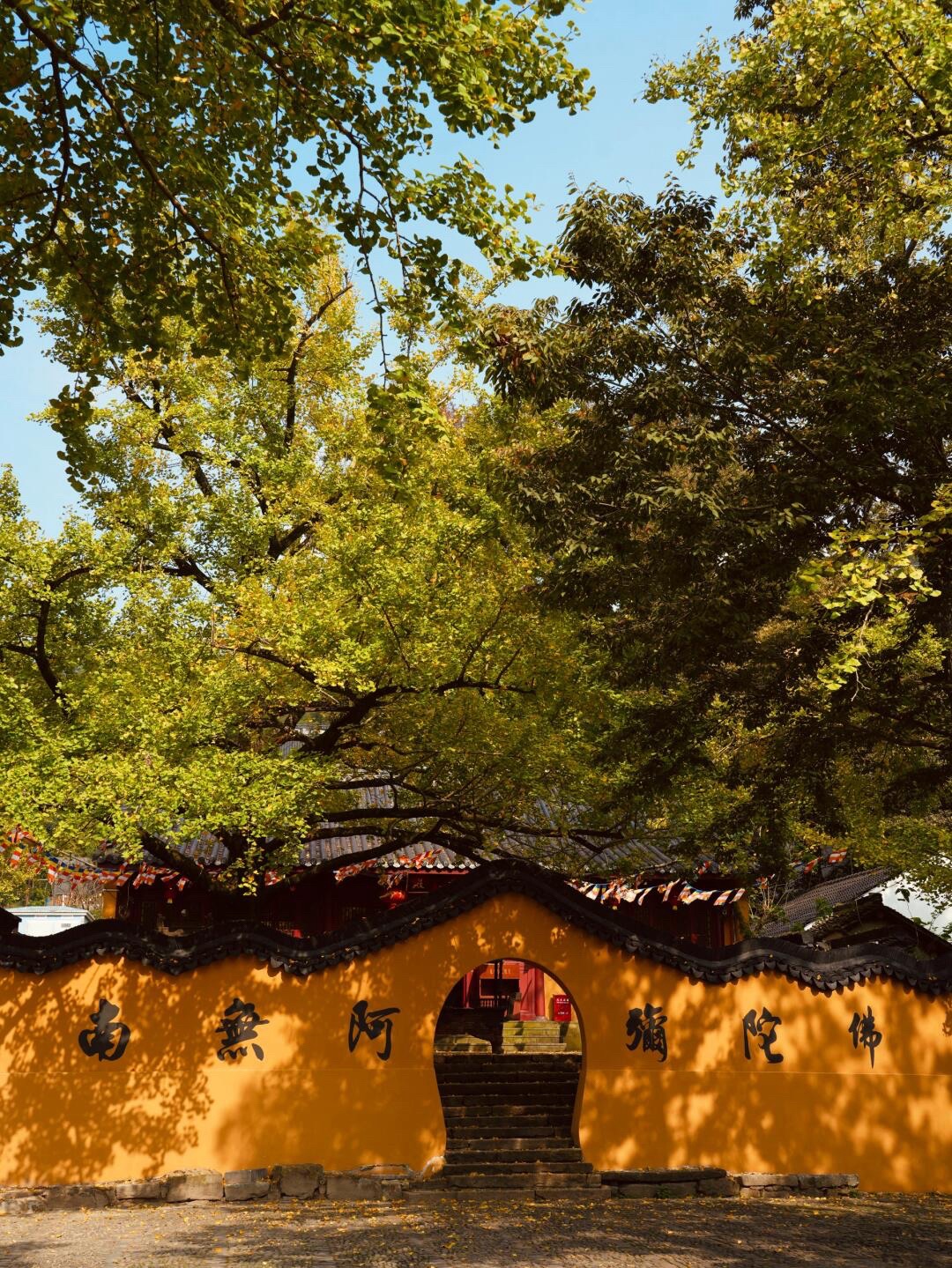 八都岕八都堰旅行图片 3