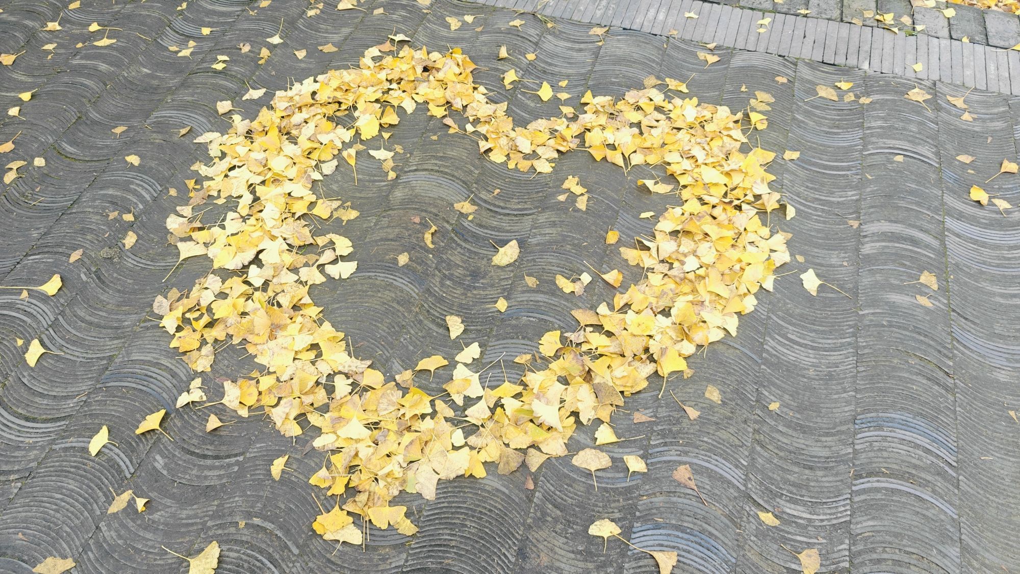 八都岕八都堰旅行图片 3