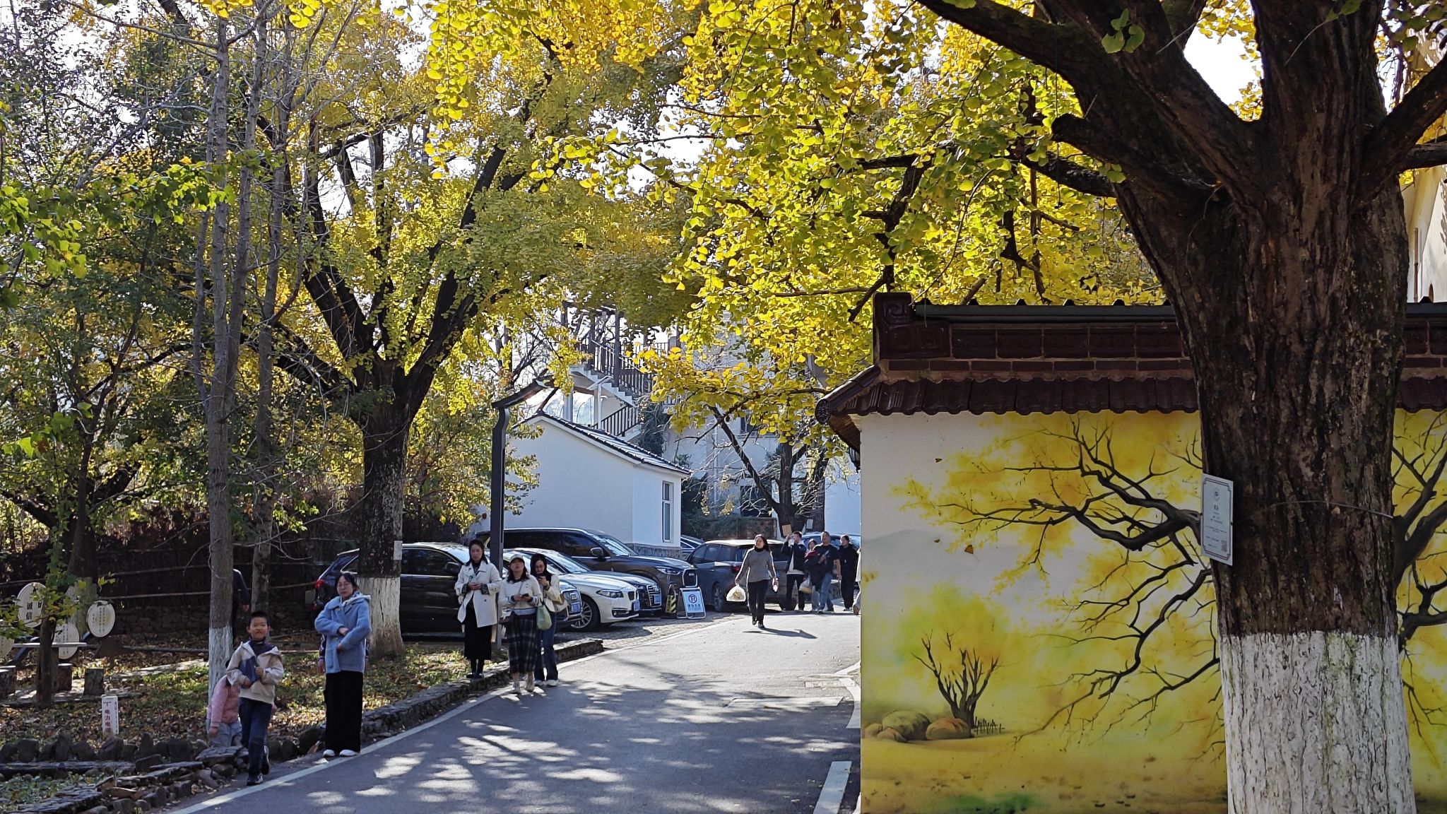 八都岕八都堰旅行图片 3