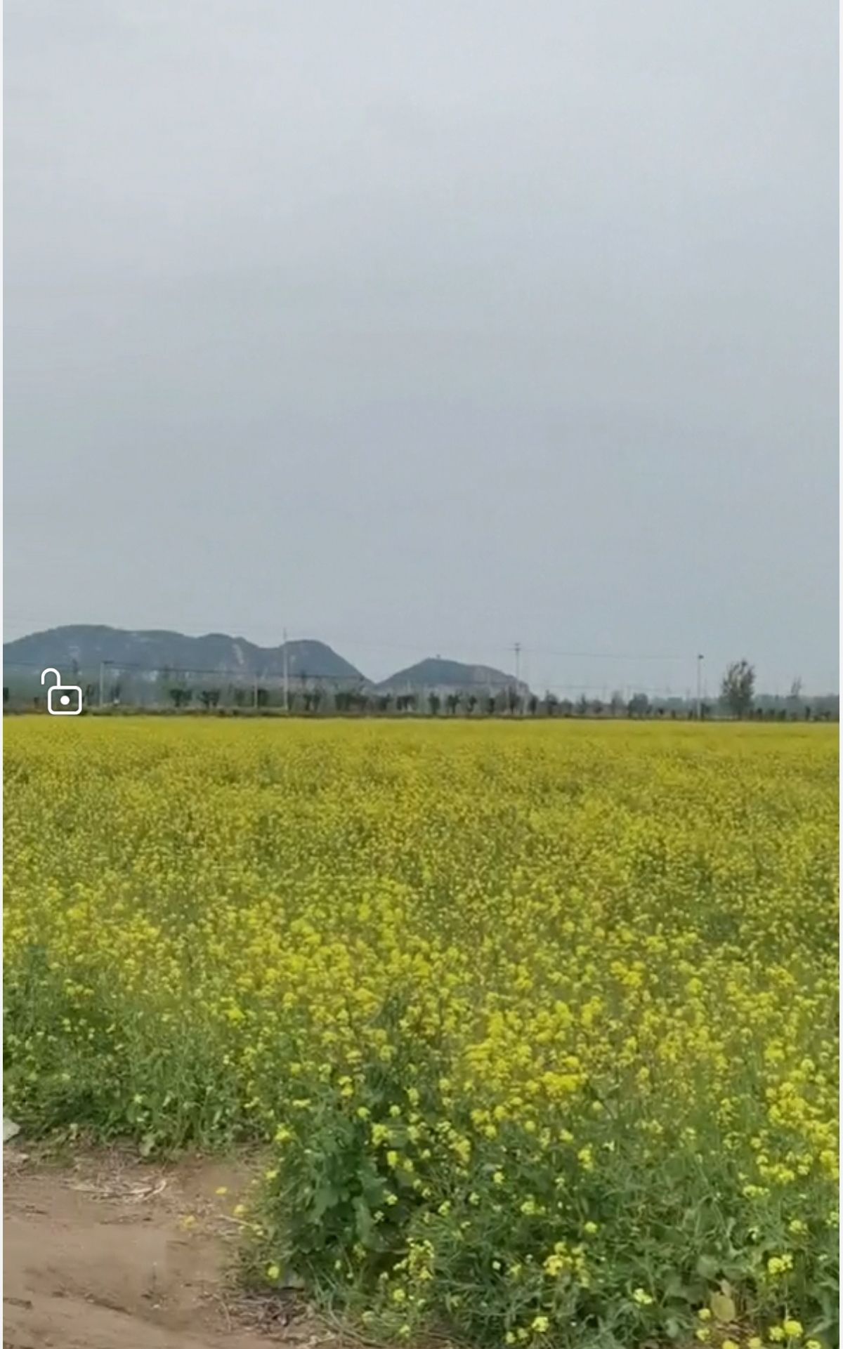 洛汭生态文化区旅行图片 1