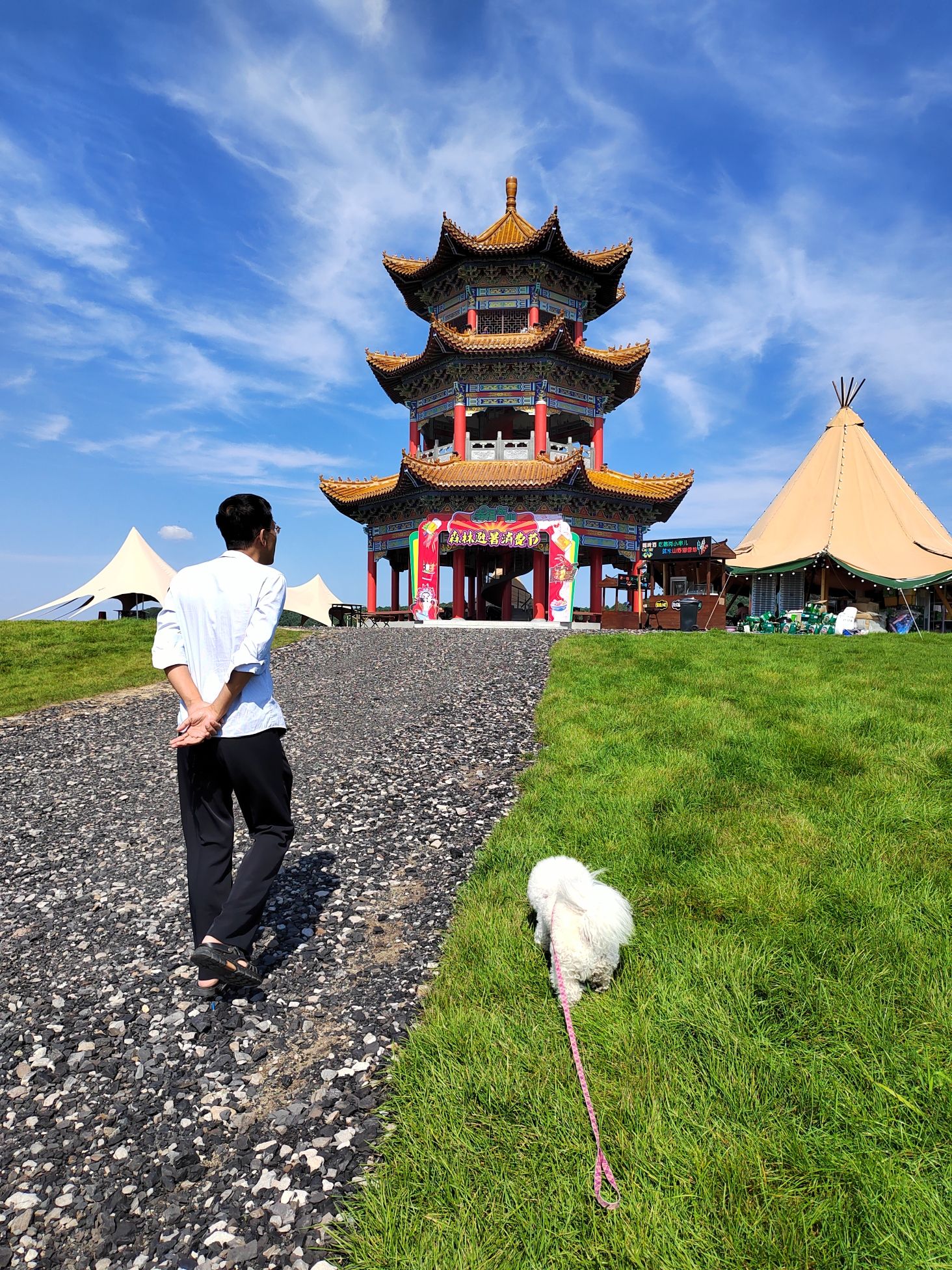 梨花谷山野公园旅行图片 2