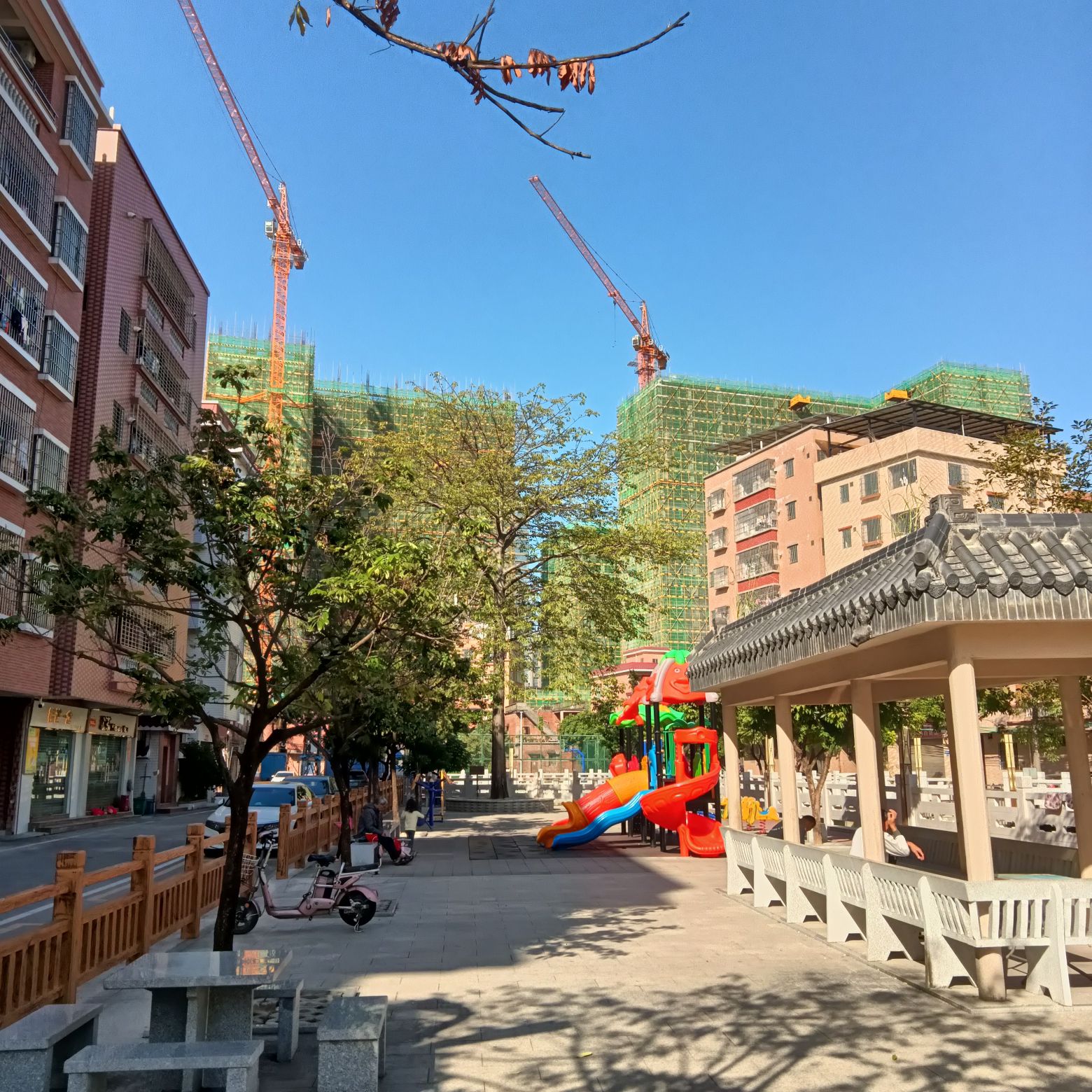 先锋公园旅行图片 3