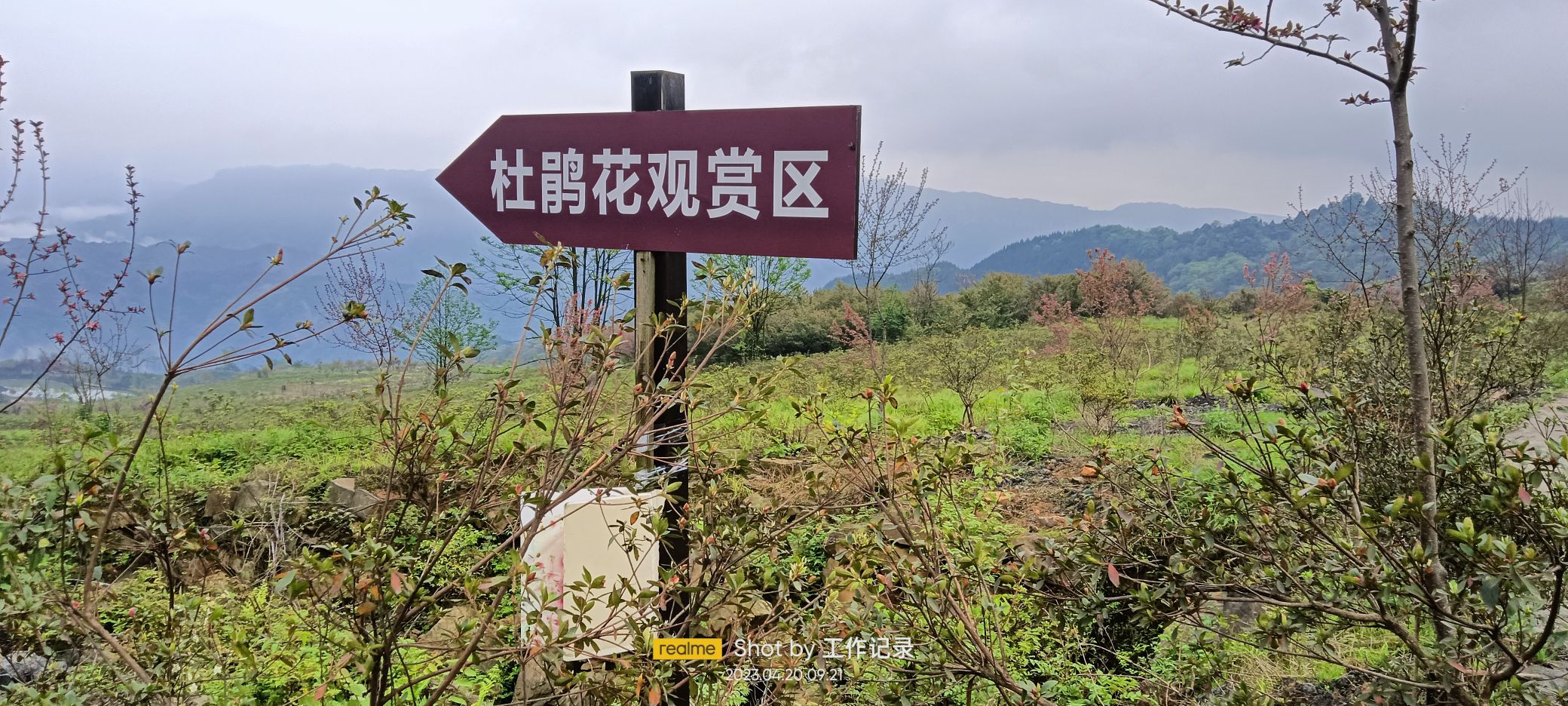 杜鹃山国际旅游度假区旅行图片 1