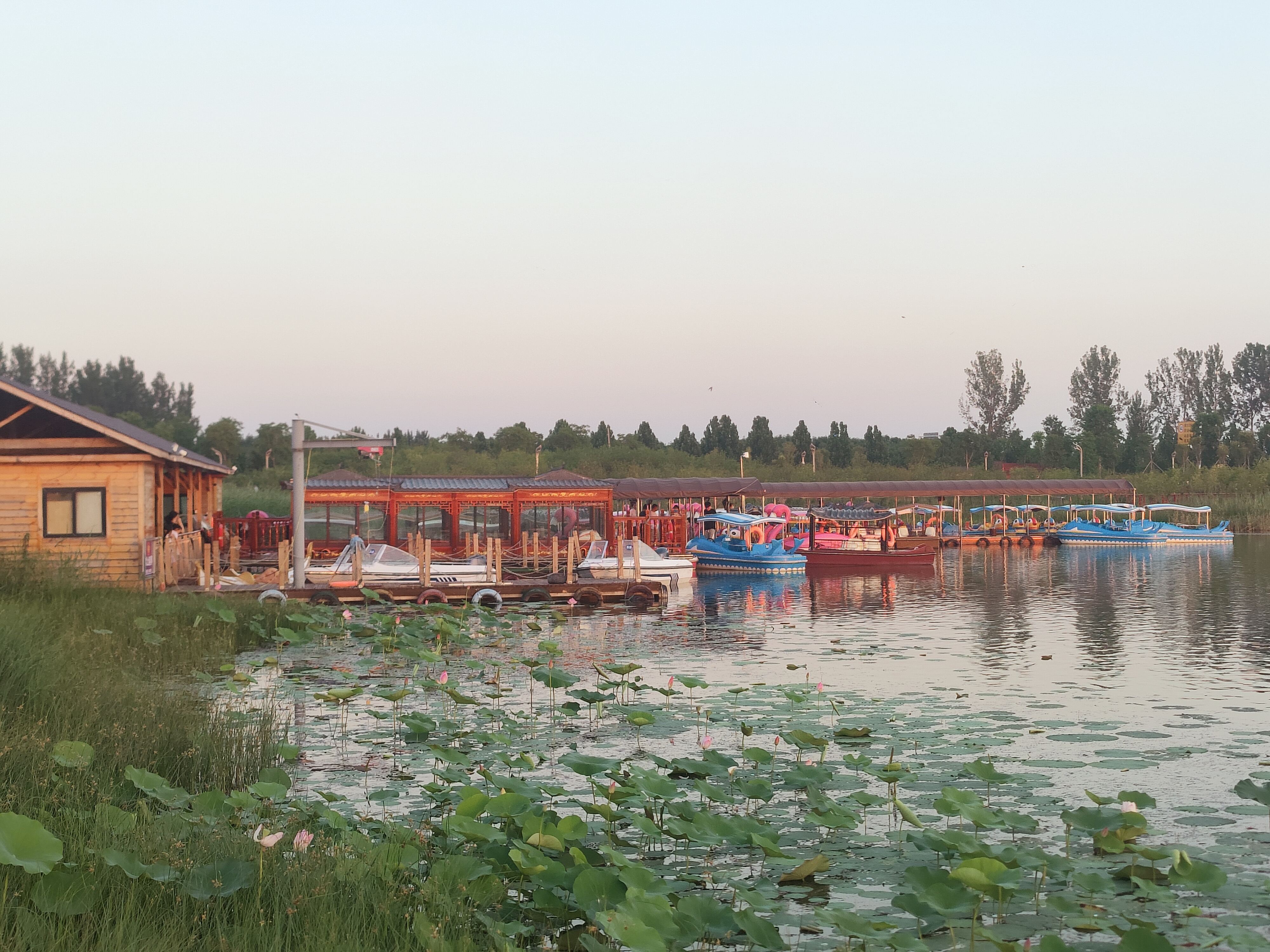 王家潭游船旅行图片 2