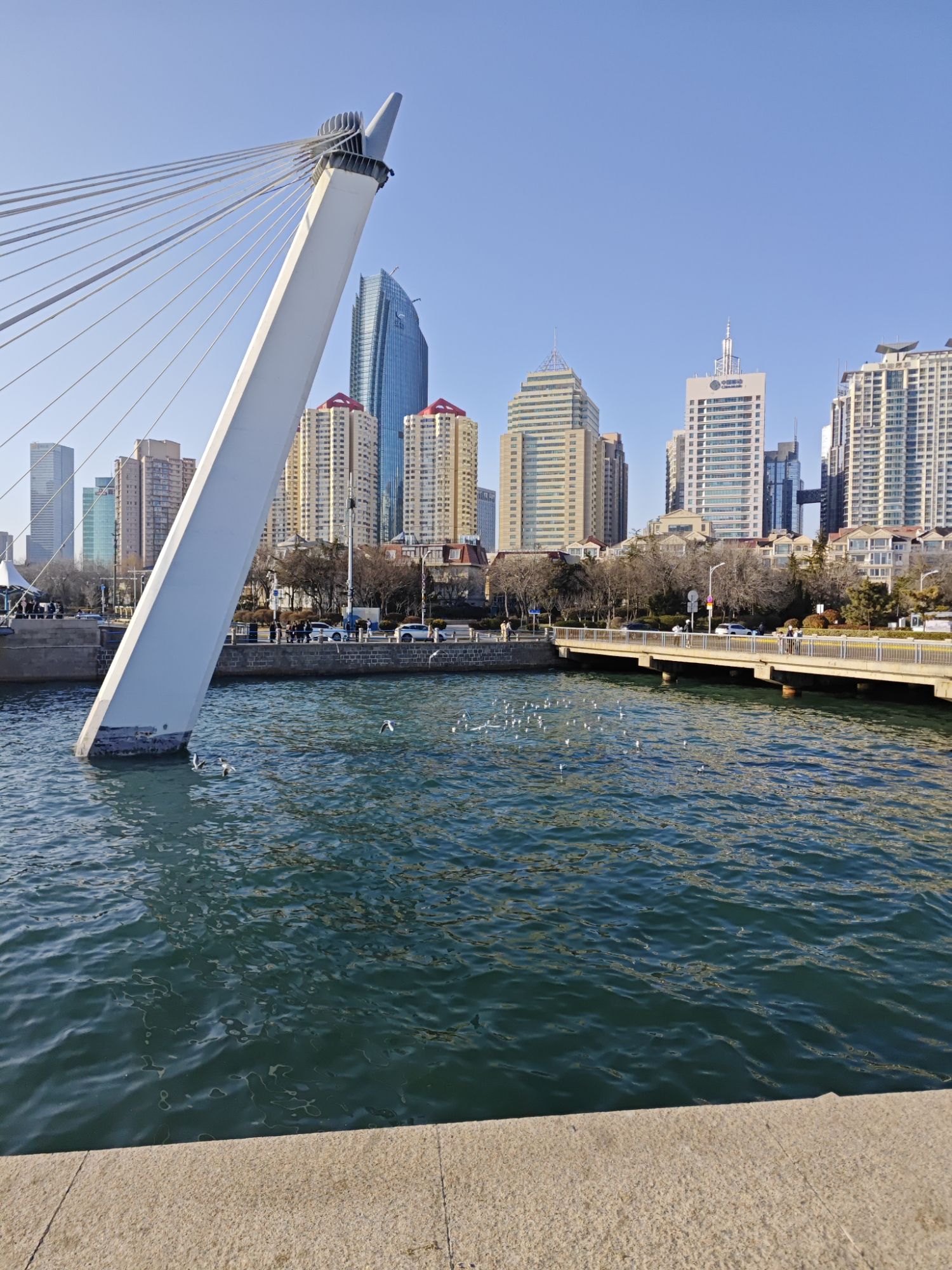 青岛奥帆海洋文化旅游区旅行图片 3