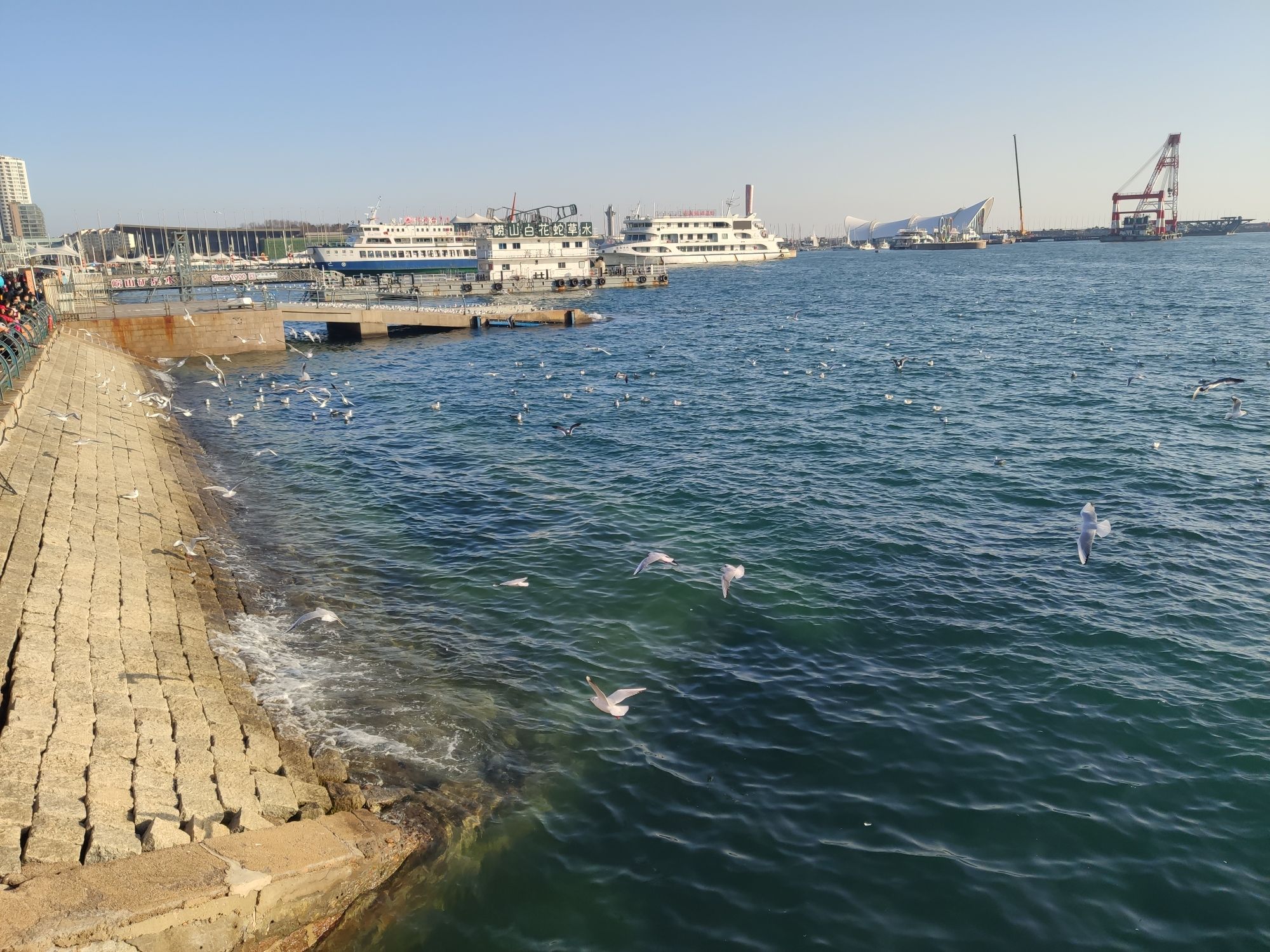 青岛奥帆海洋文化旅游区旅行图片 3