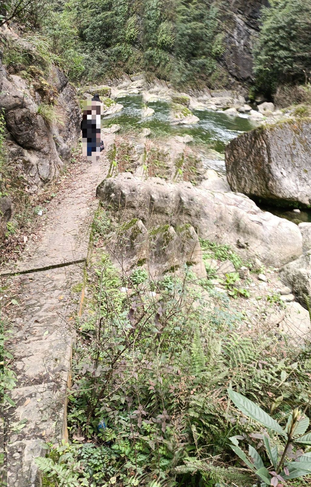 紫江地缝旅行图片 1