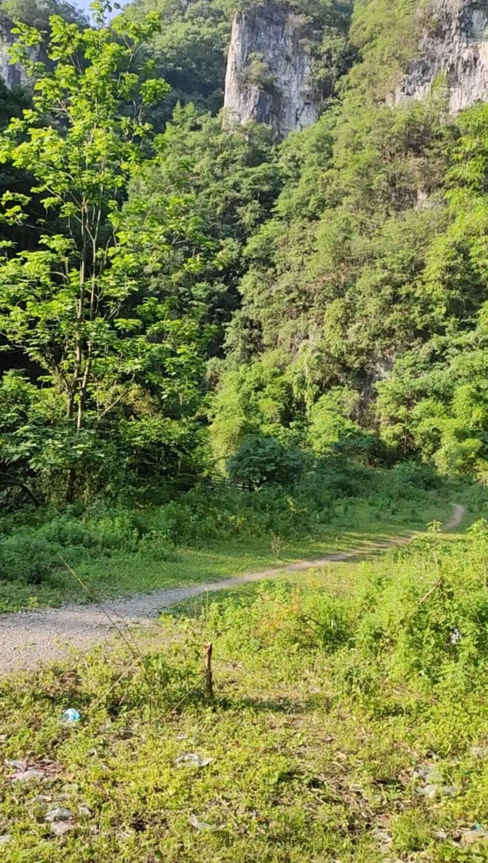 紫江地缝旅行图片 1