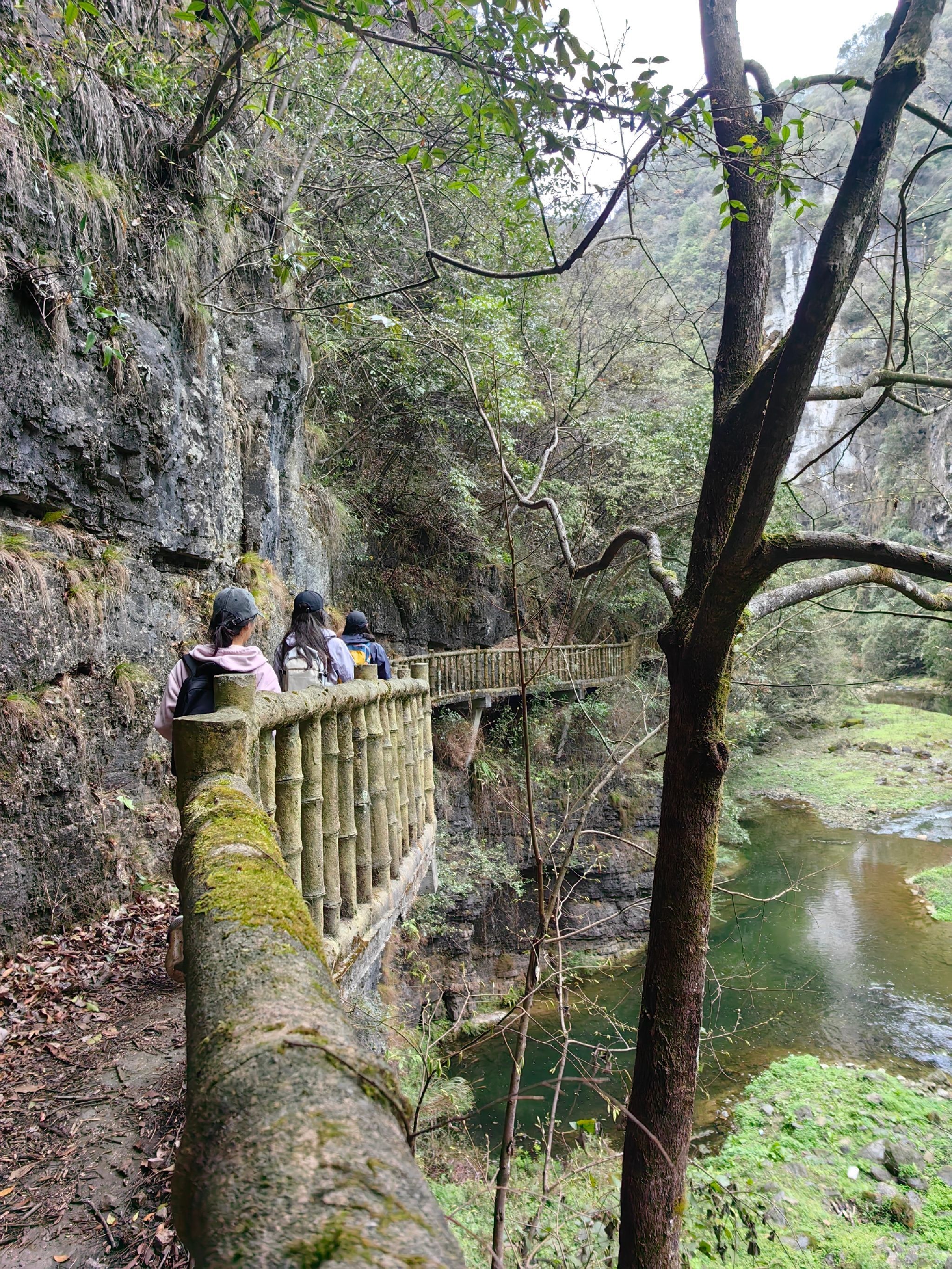 紫江地缝旅行图片 1