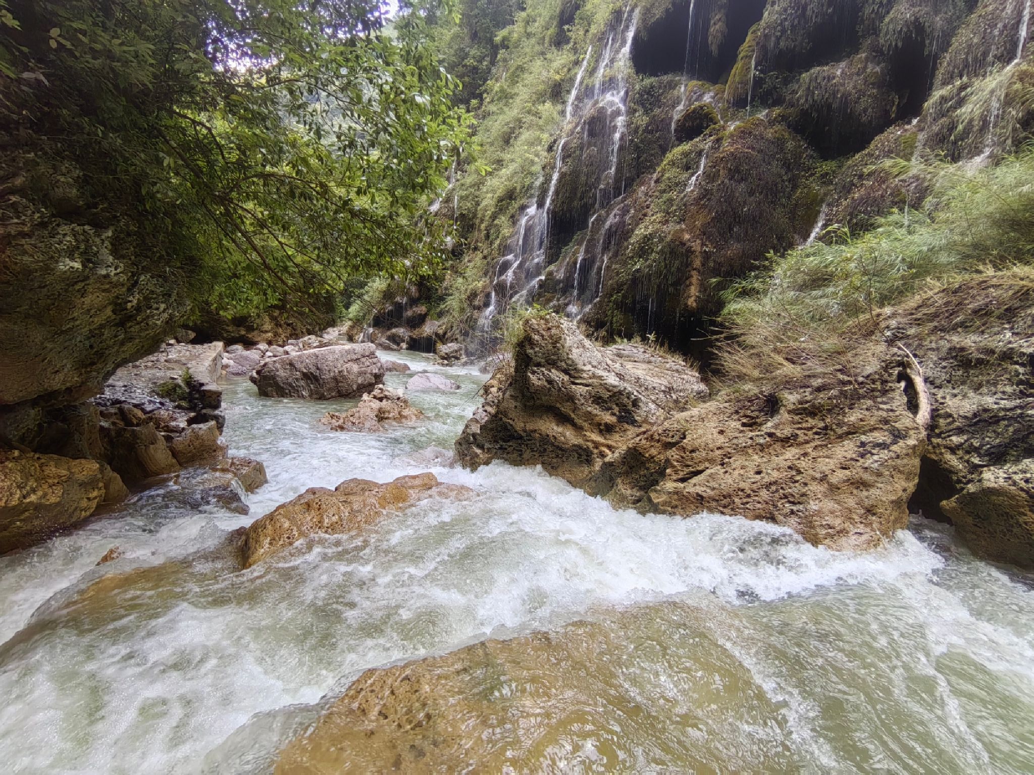 紫江地缝旅行图片 3