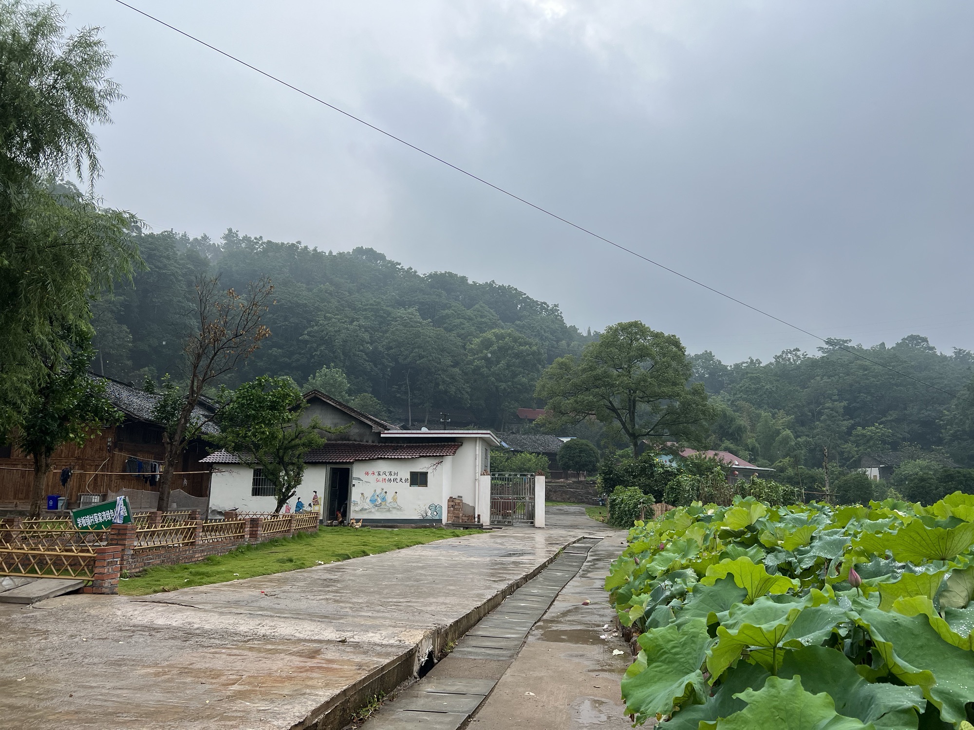明溪口网红鱼鳞坝旅行图片 1