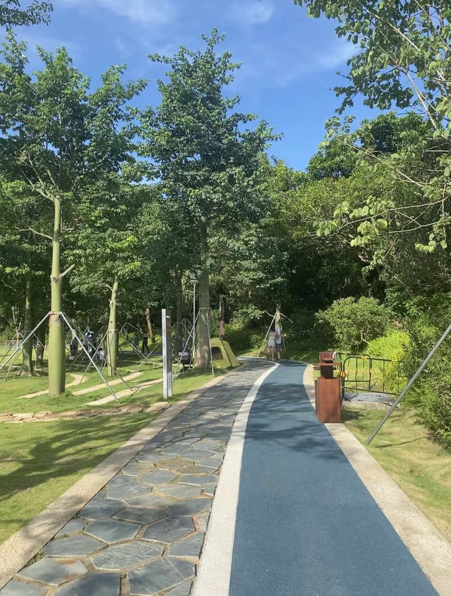 田心公园旅行图片 1