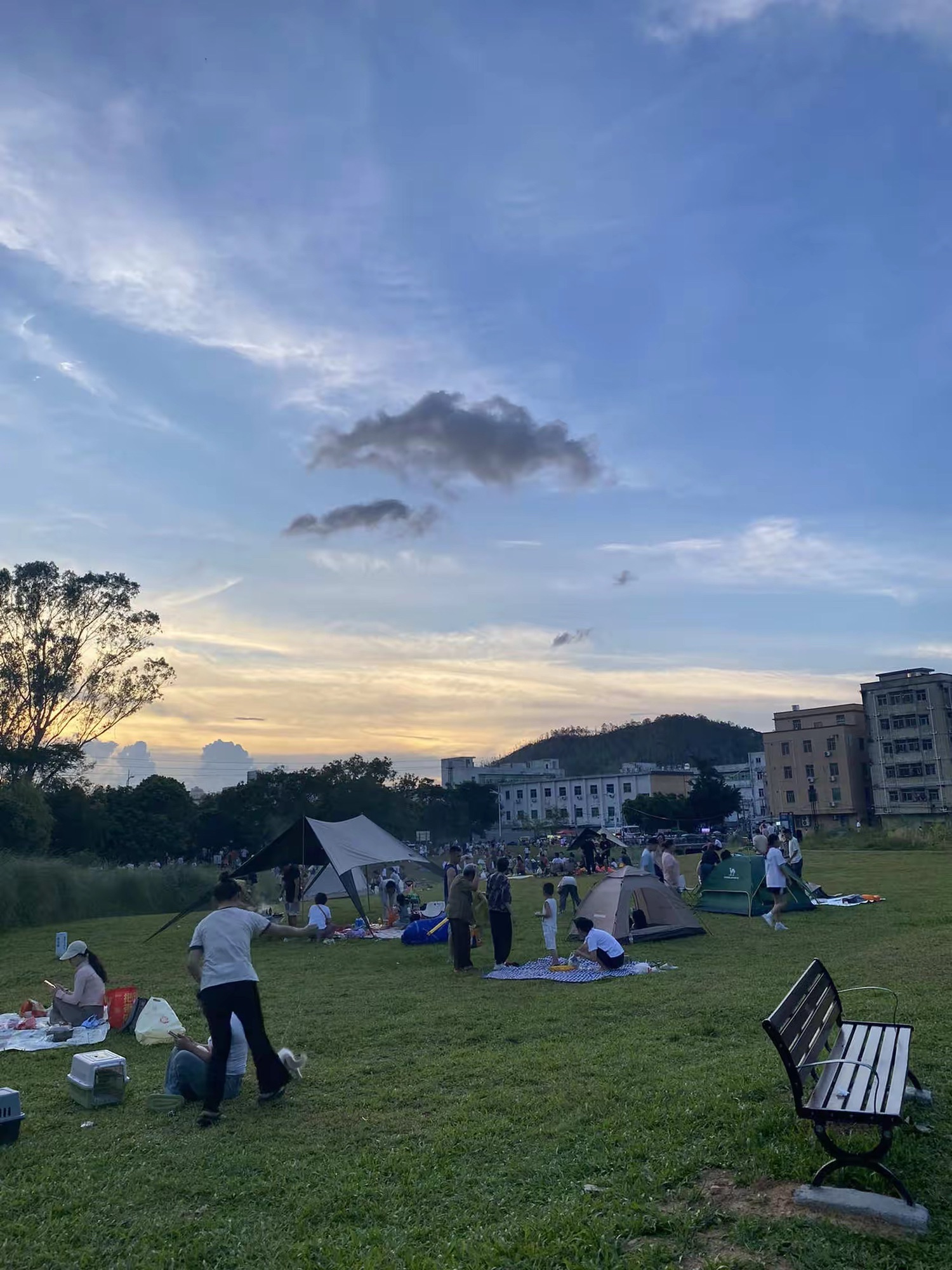 田心公园旅行图片 2