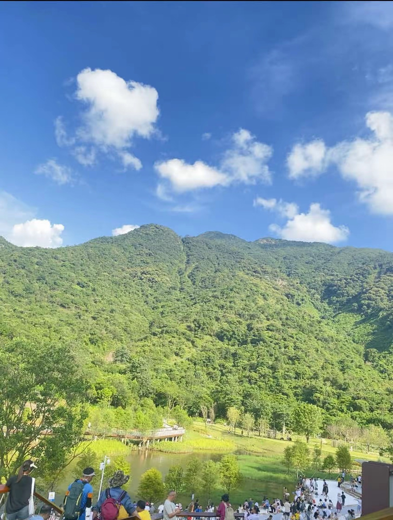 田心公园旅行图片 3