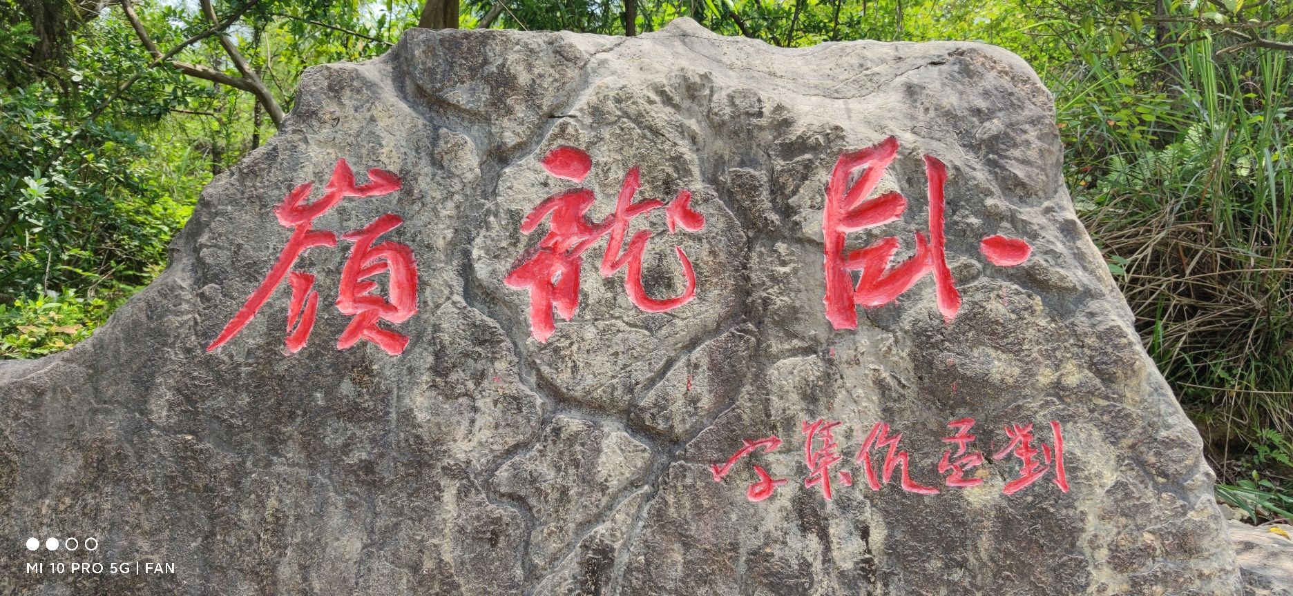 天下第一缸旅行图片 3