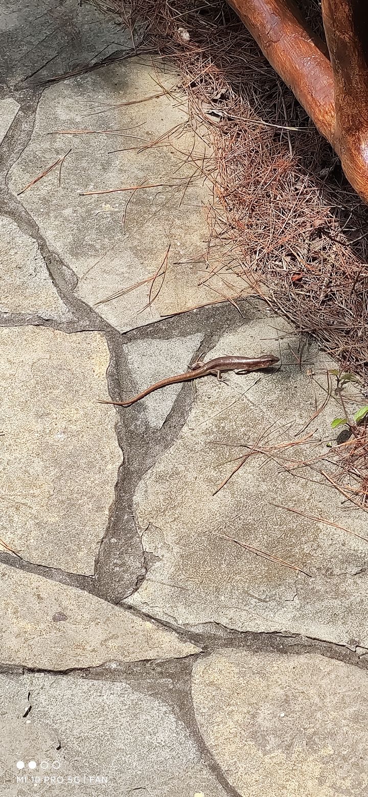 天下第一缸旅行图片 2