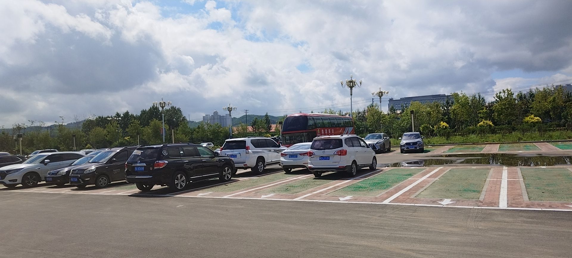 滨江公园旅行图片 3