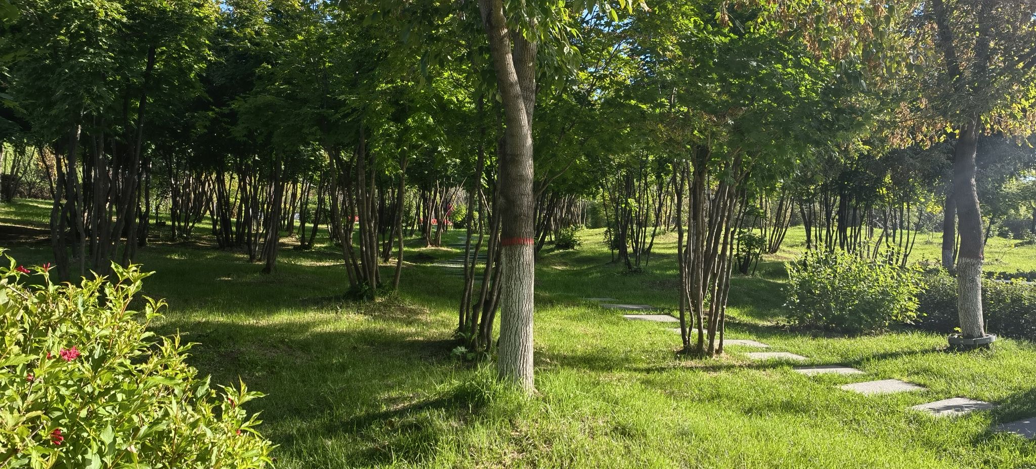 滨江公园旅行图片 2