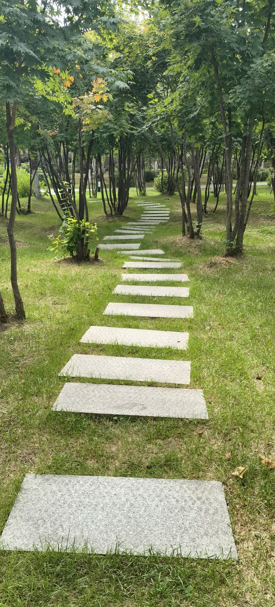 滨江公园旅行图片 1