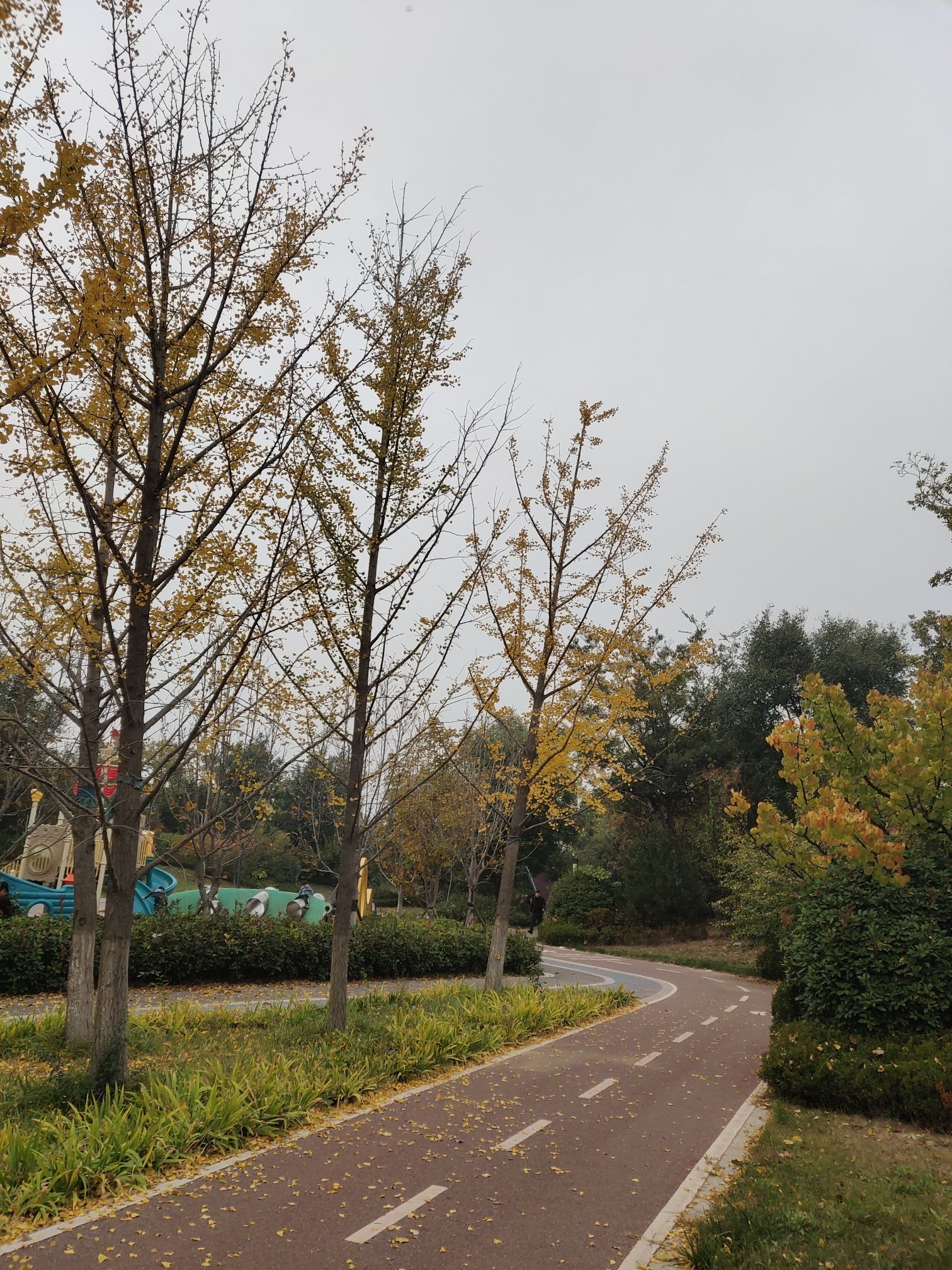 中建锦绣公园旅行图片 1