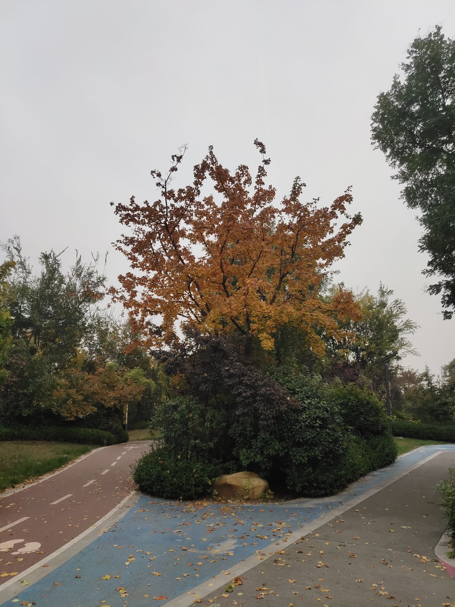 中建锦绣公园旅行图片 2