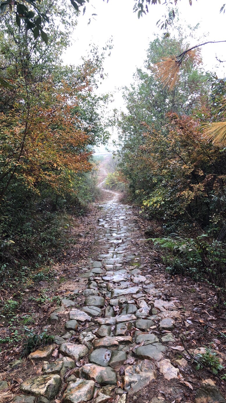茶马古道旅行图片 1