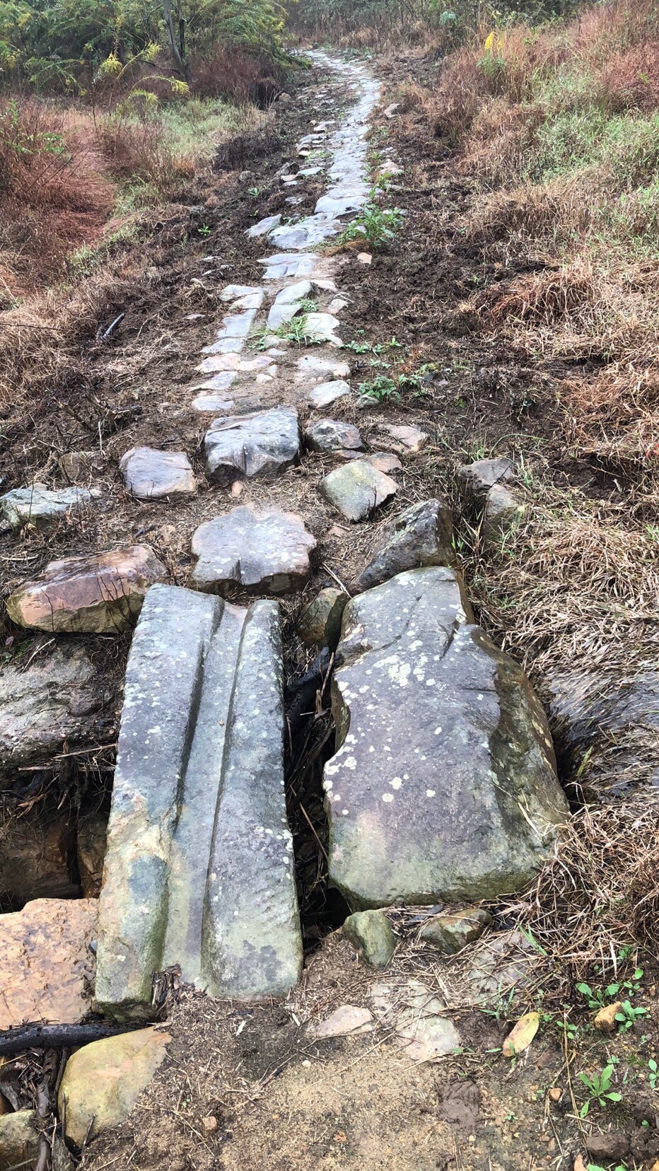 茶马古道旅行图片 3