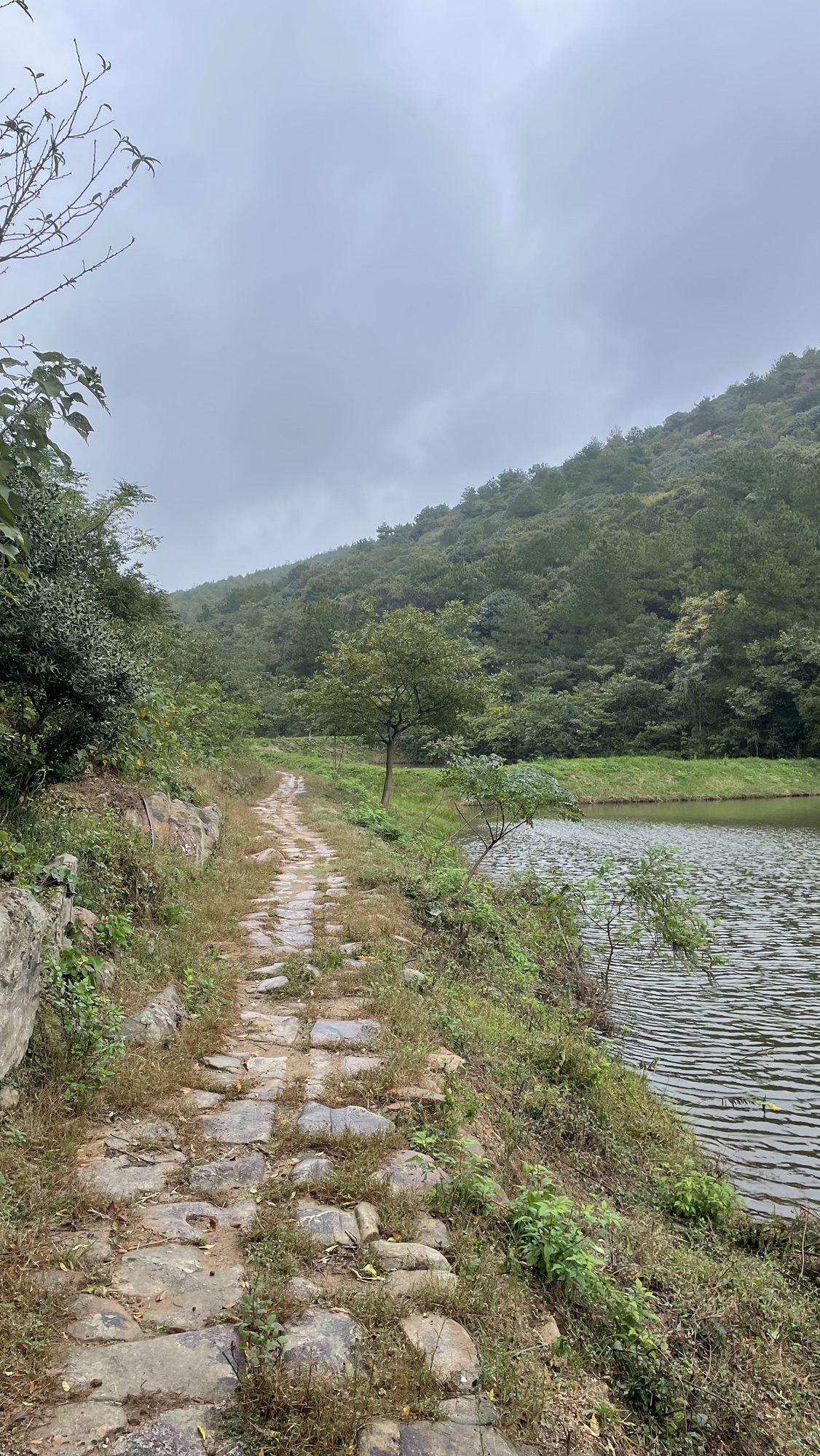 茶马古道旅行图片 3