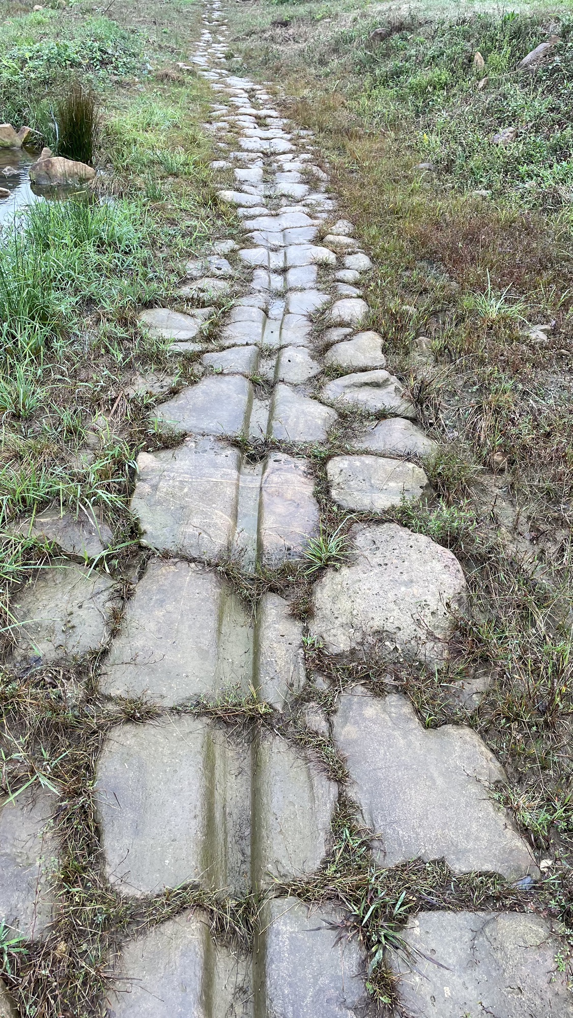 茶马古道旅行图片 2
