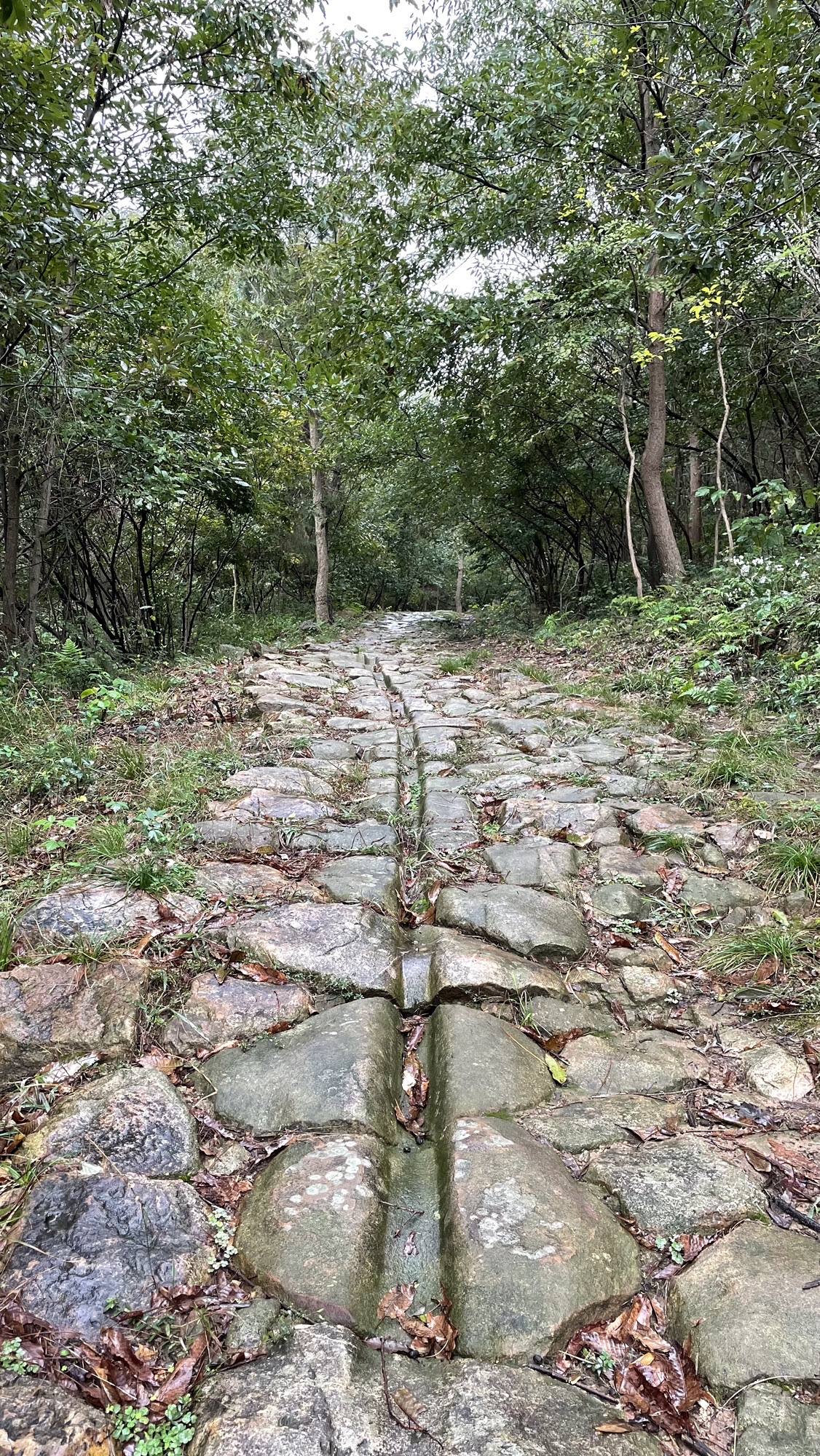 茶马古道旅行图片 1