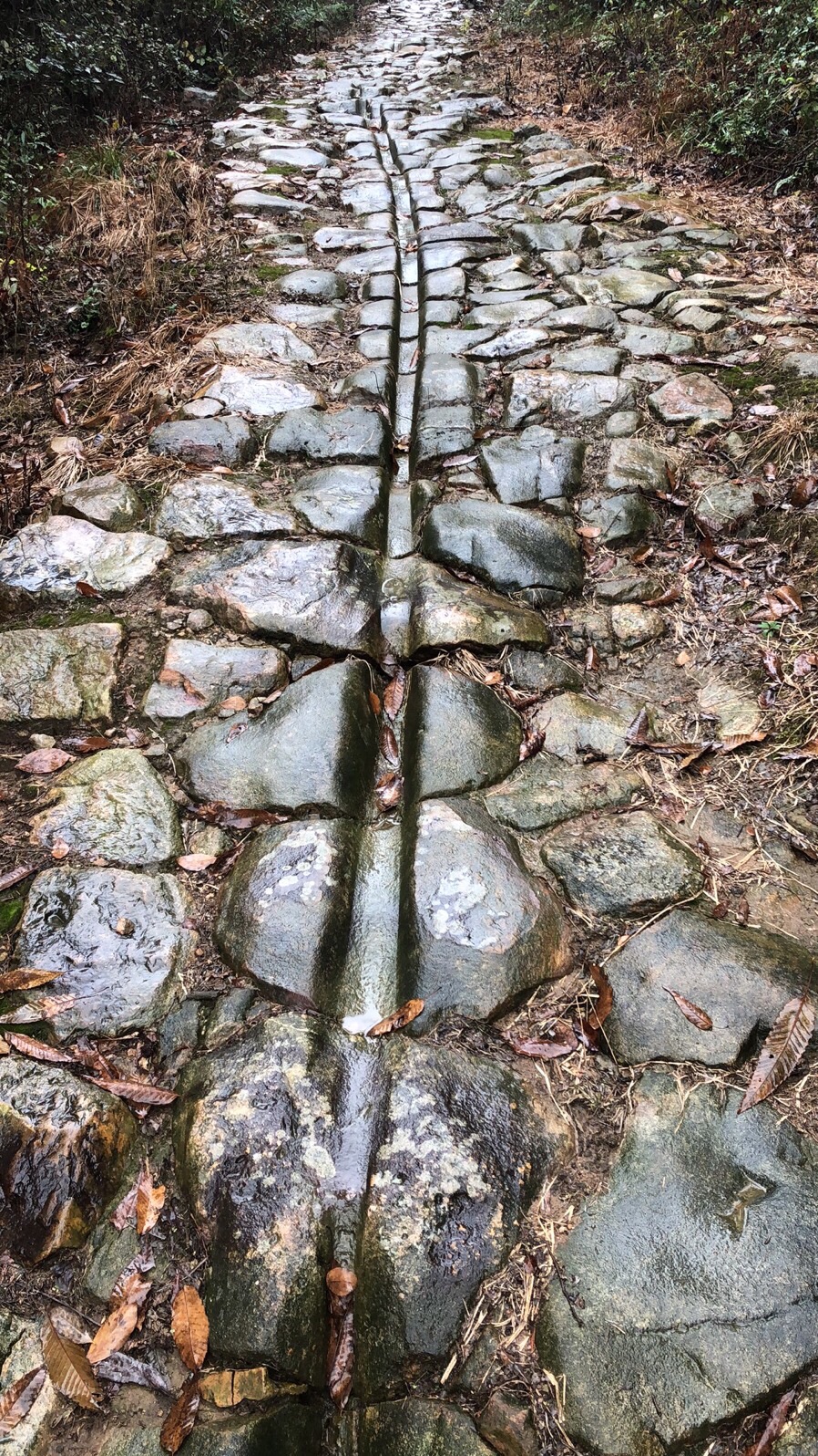 茶马古道旅行图片 2