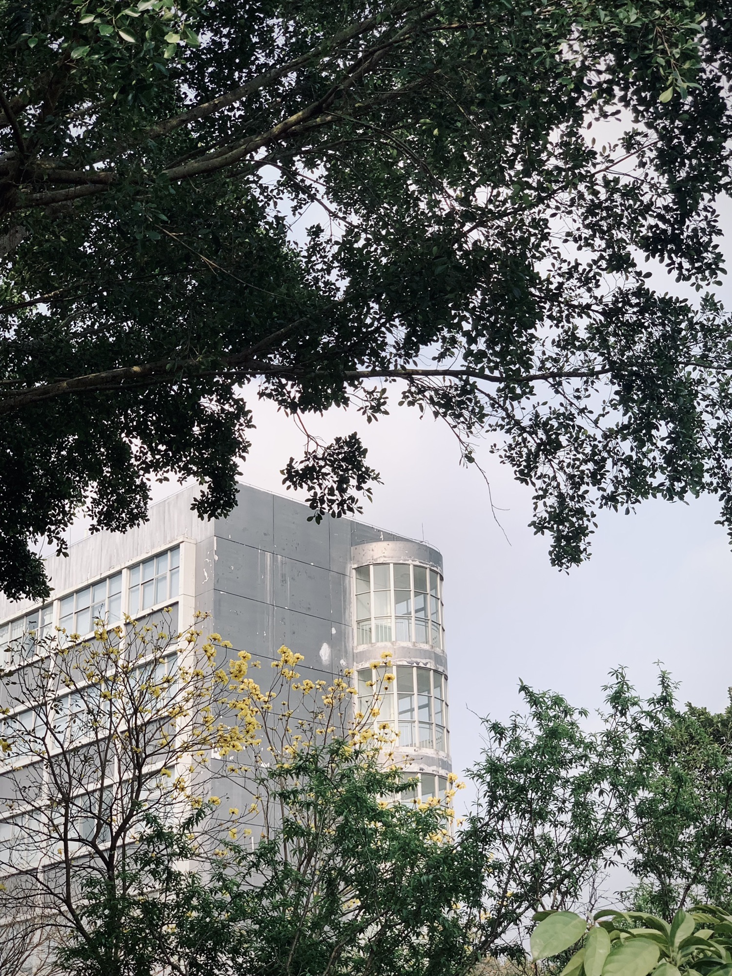 湛江南亚热带植物园旅行图片 1