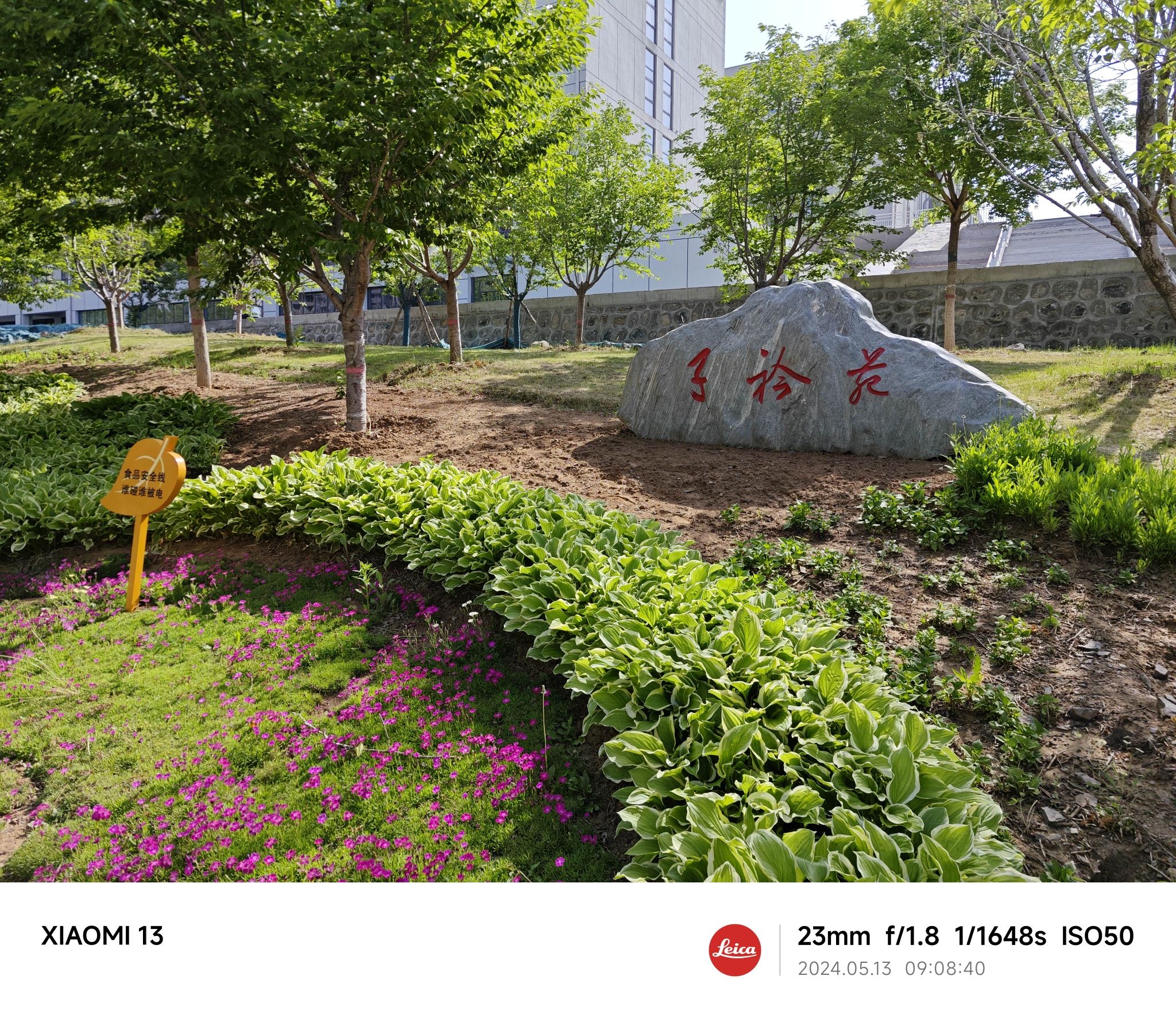 子矜苑(网红投影公园)旅行图片 1
