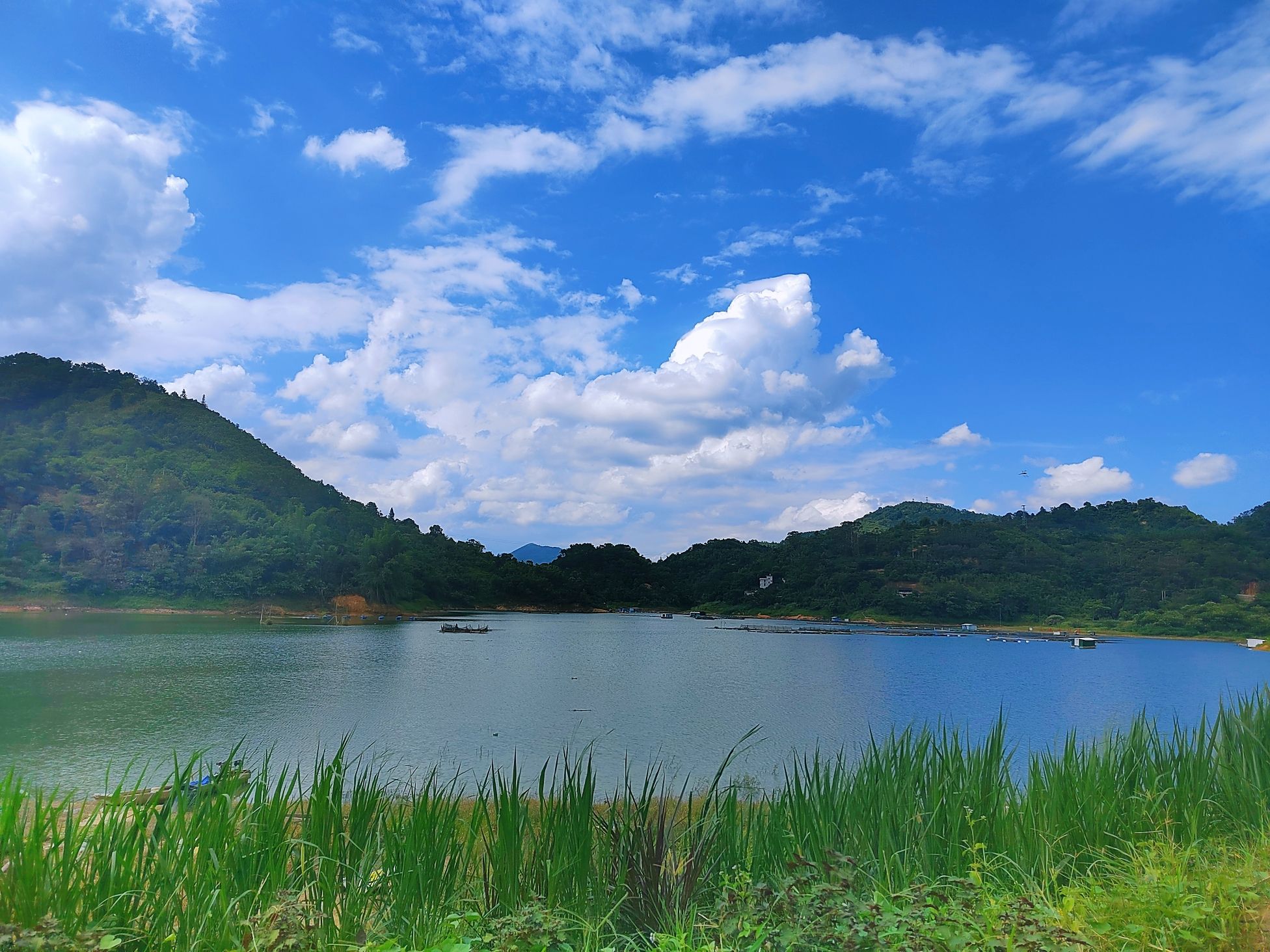 通门镇大美向阳湖观景台旅行图片 3