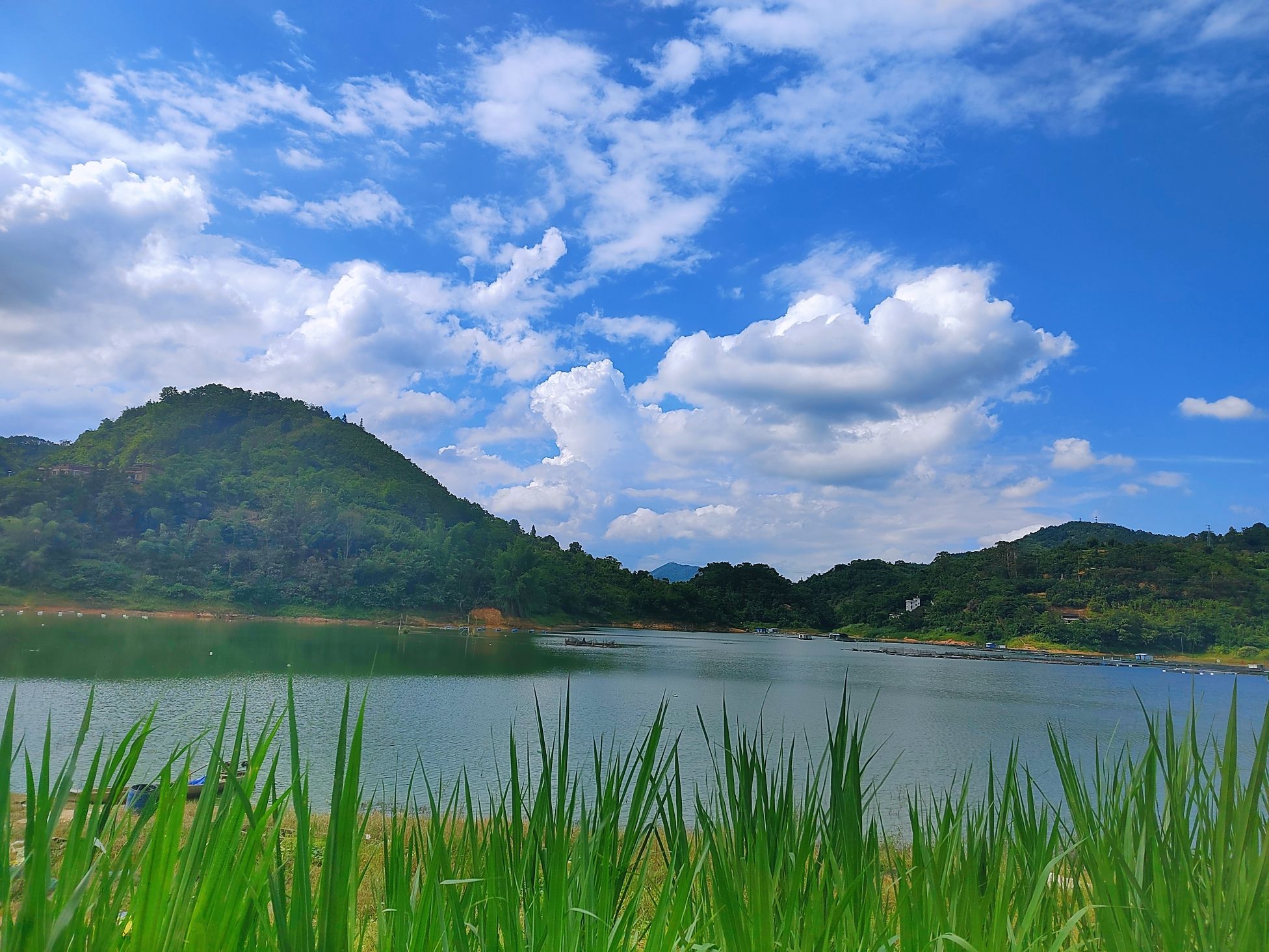 通门镇大美向阳湖观景台旅行图片 1