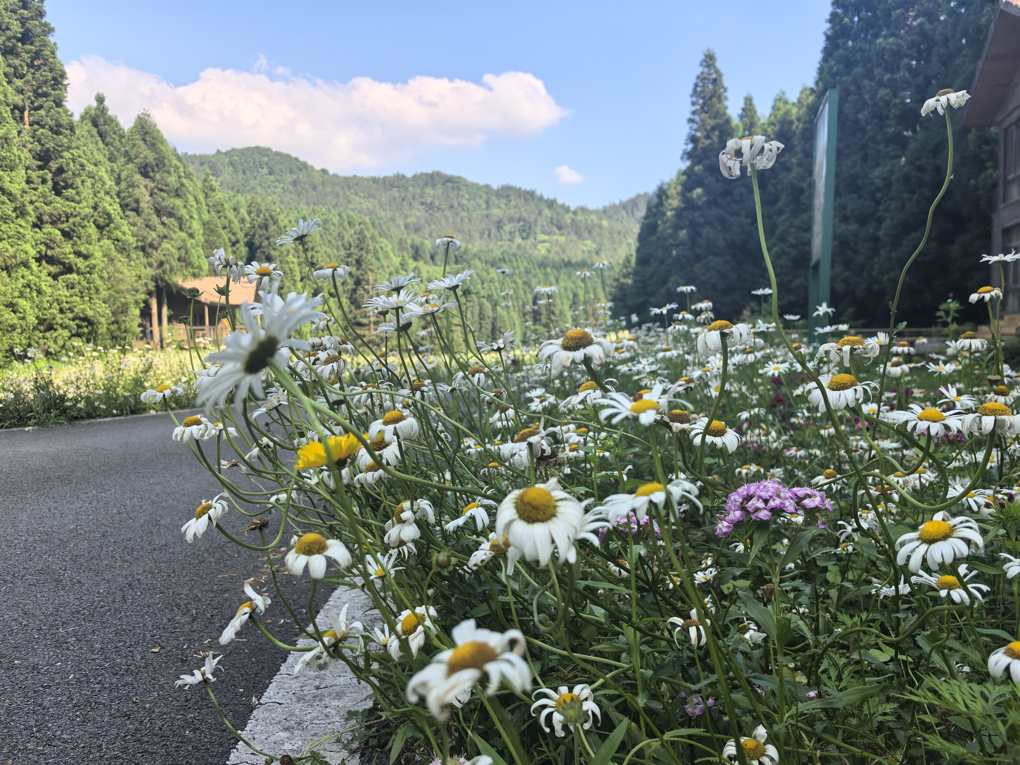 武陵山瑜伽谷别墅