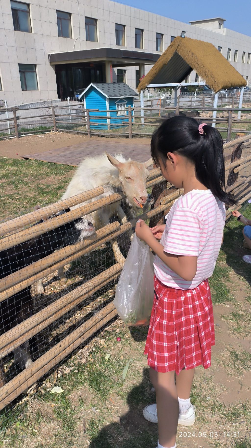 云宿亲子牧场旅行图片 1