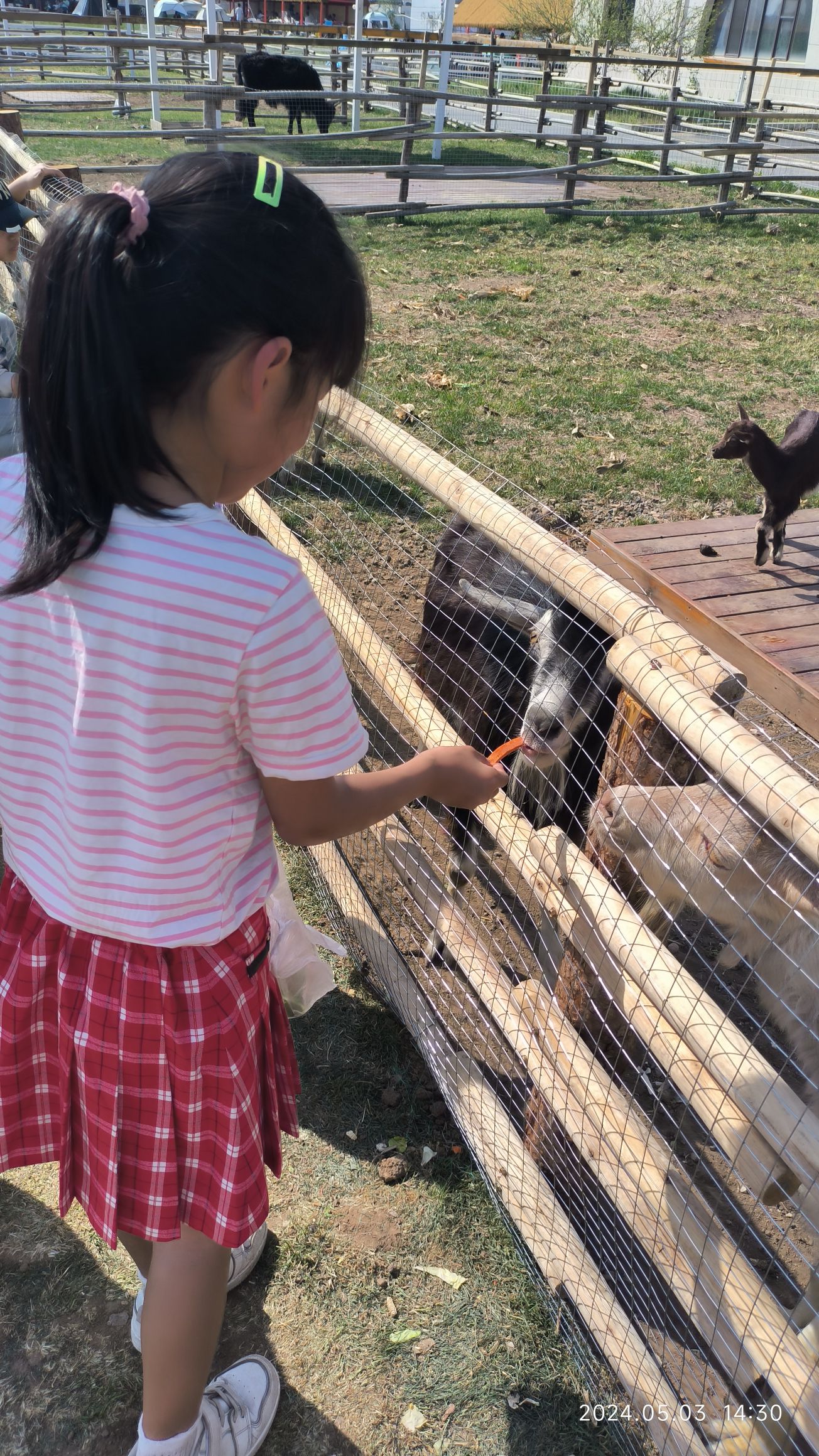 云宿亲子牧场旅行图片 3