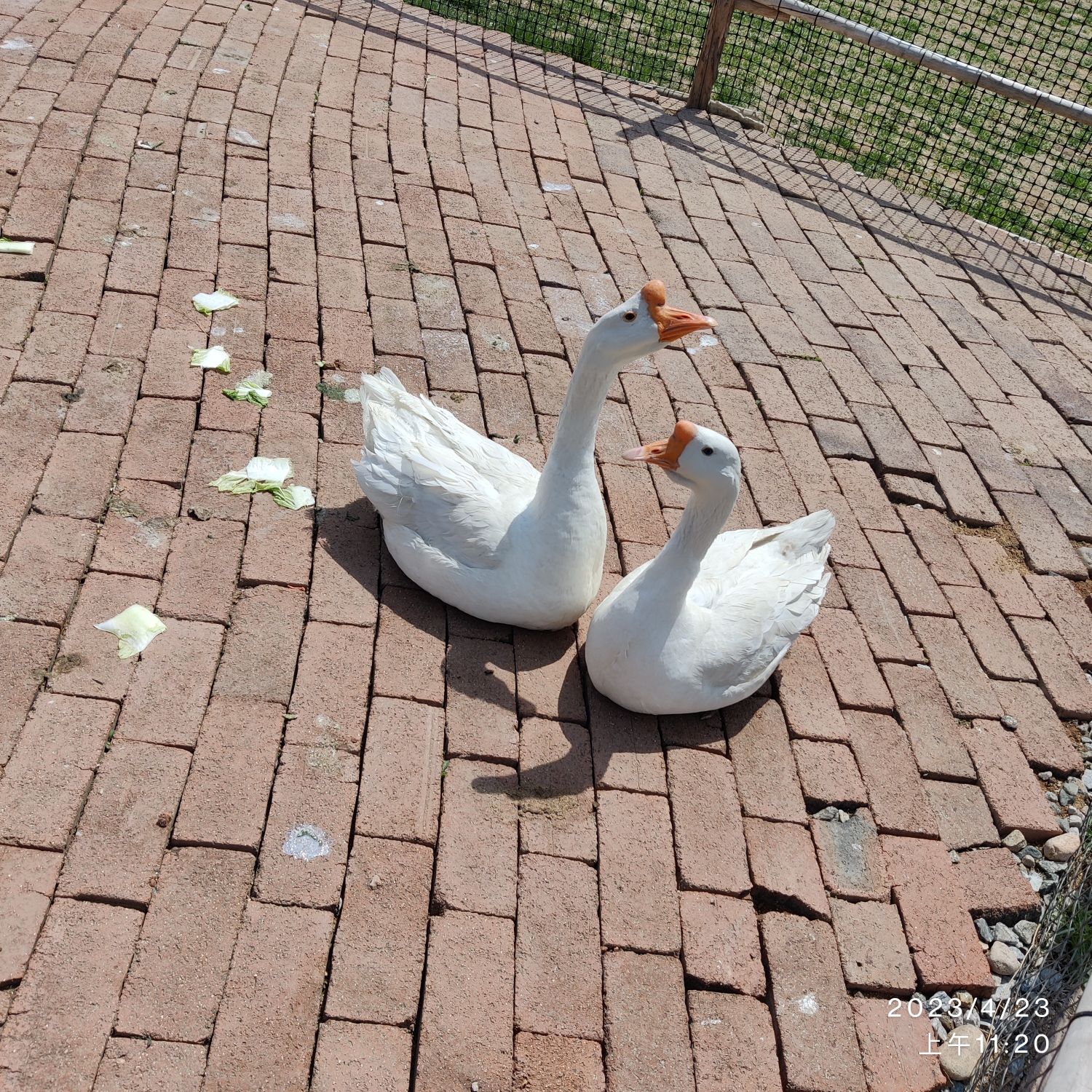 云宿亲子牧场旅行图片 3